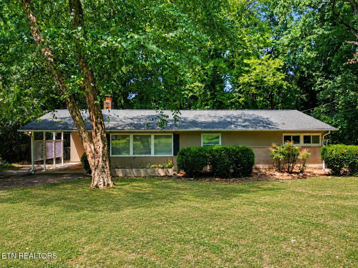 1336 Sumac Drive Knoxville TN 37919
