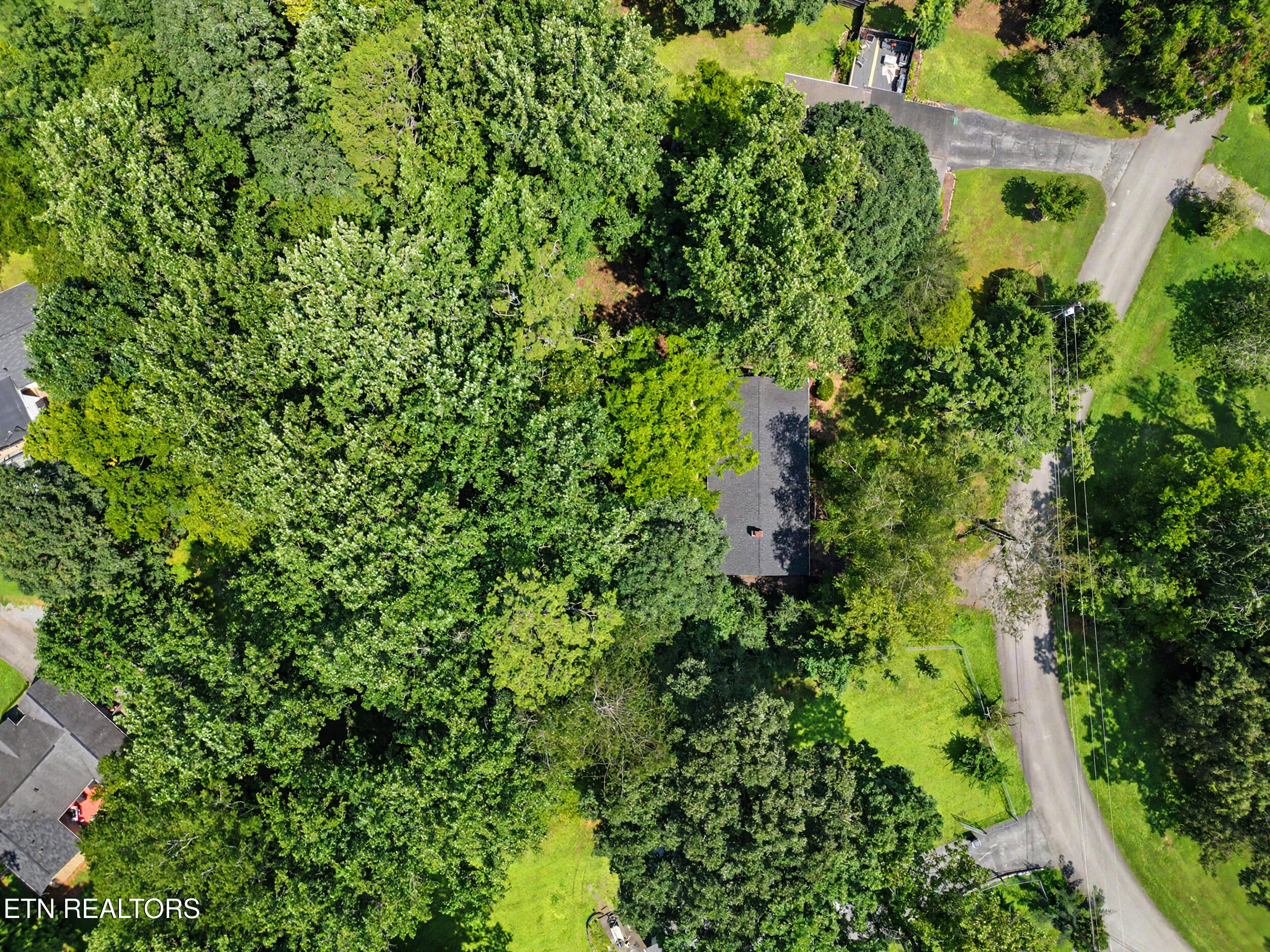 1336 Sumac Drive Knoxville TN 37919