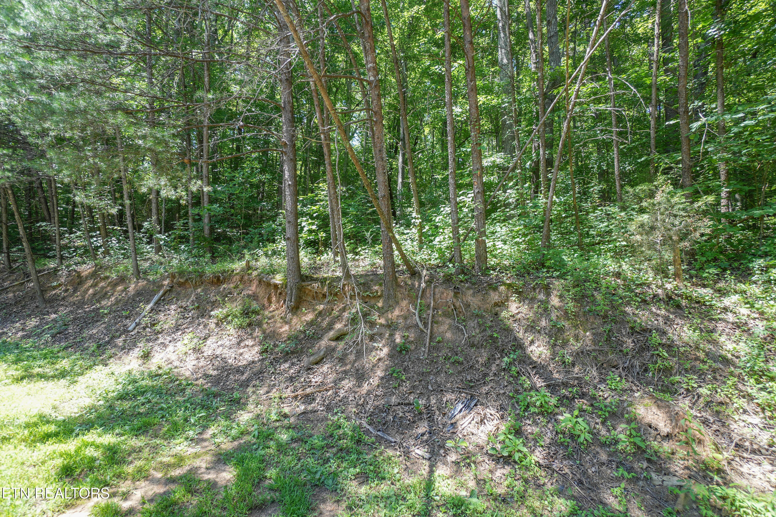 1649 6 Mile Cemetery Road Maryville TN 37803