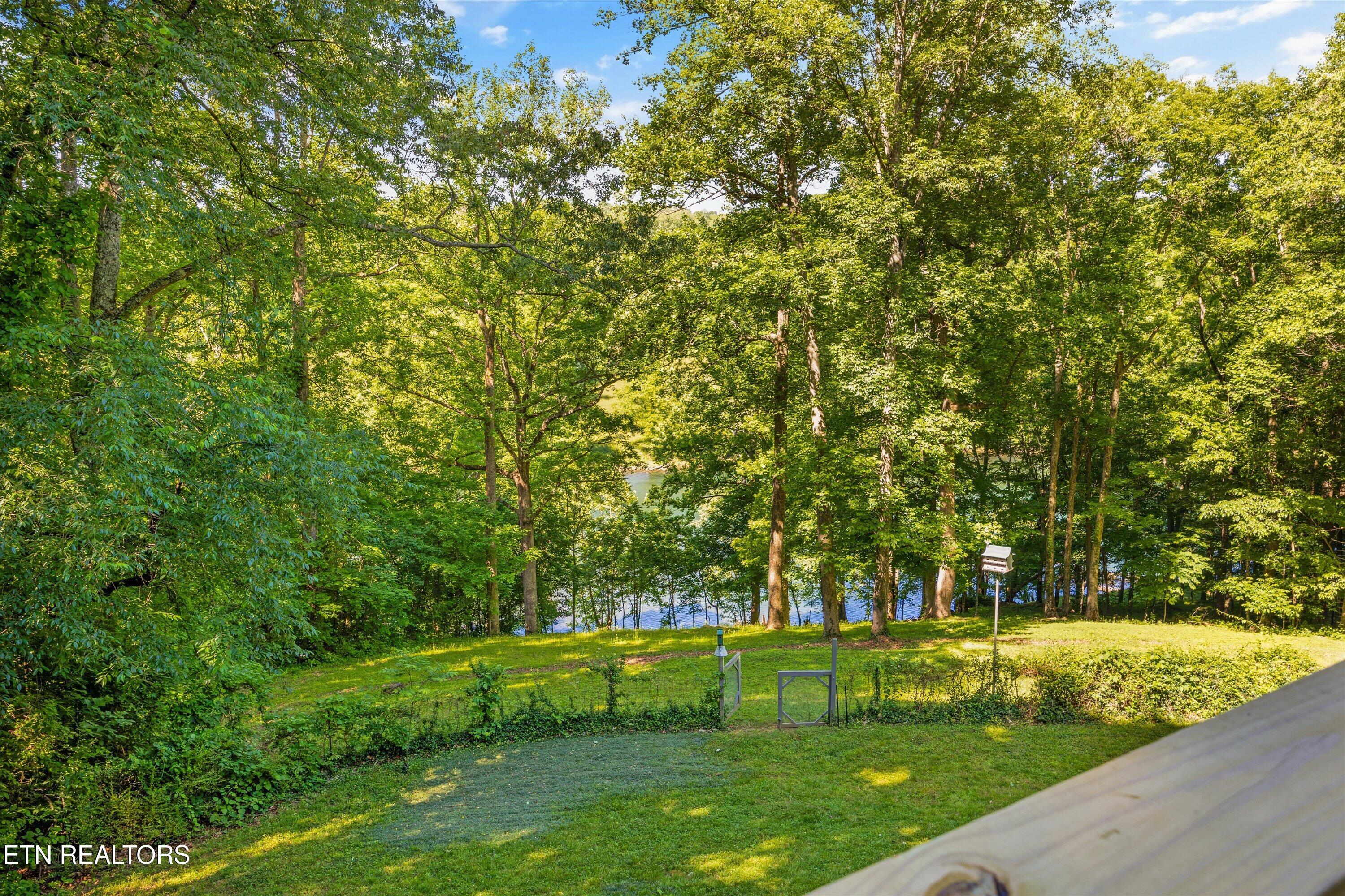 116 Wildwood Trail Andersonville TN 37705