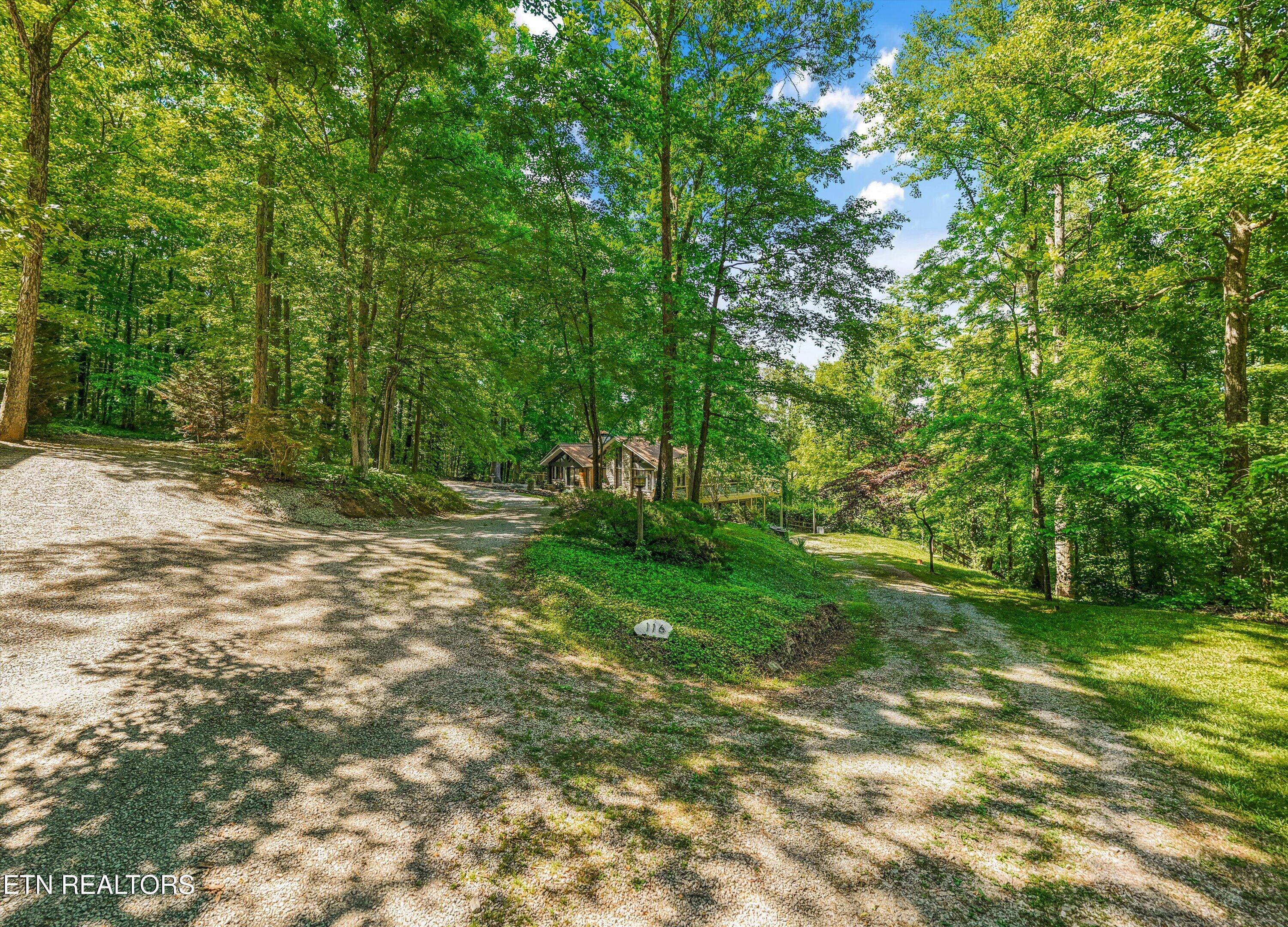 116 Wildwood Trail Andersonville TN 37705