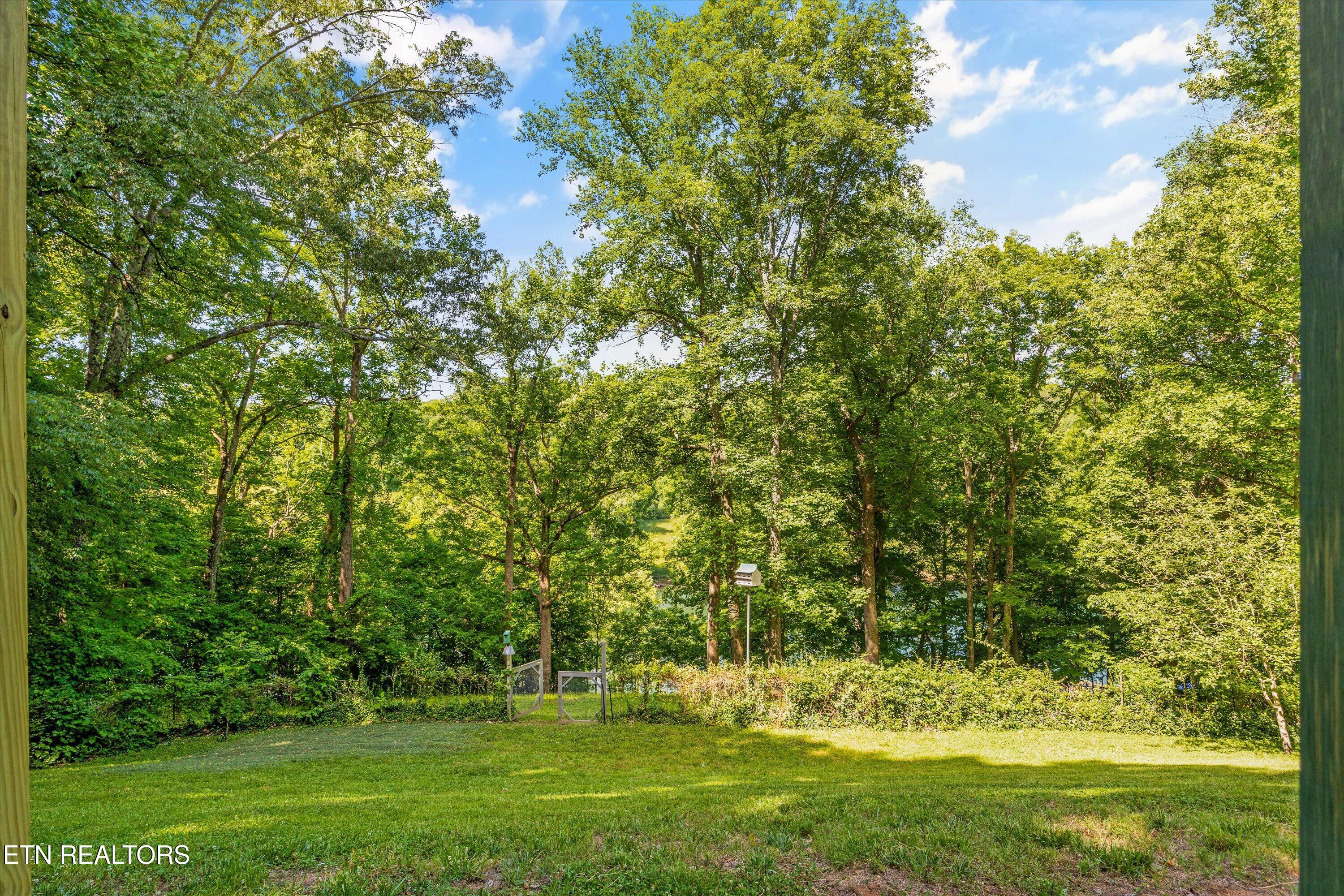 116 Wildwood Trail Andersonville TN 37705