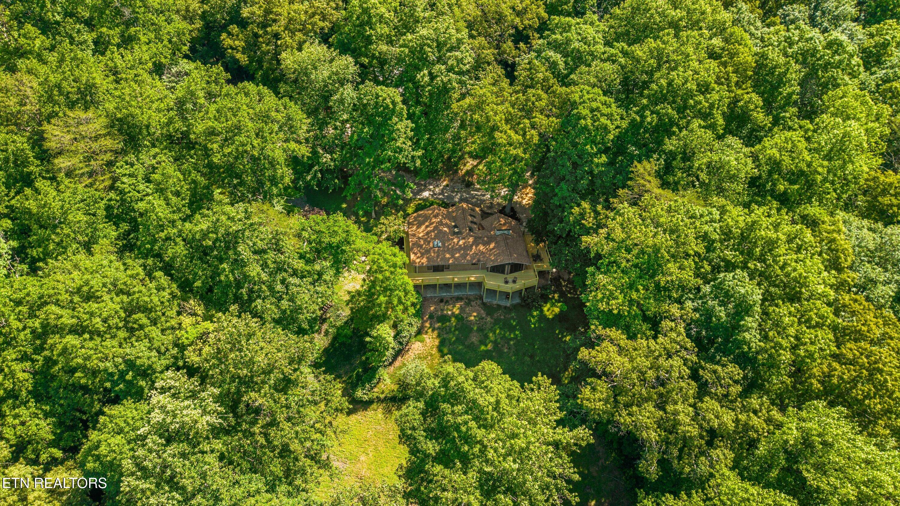 116 Wildwood Trail Andersonville TN 37705