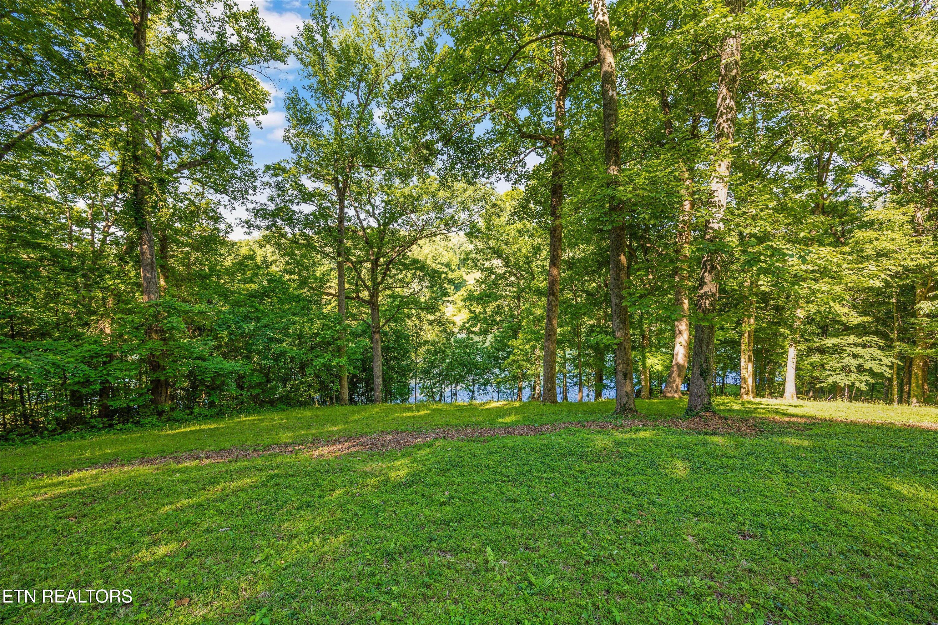 116 Wildwood Trail Andersonville TN 37705