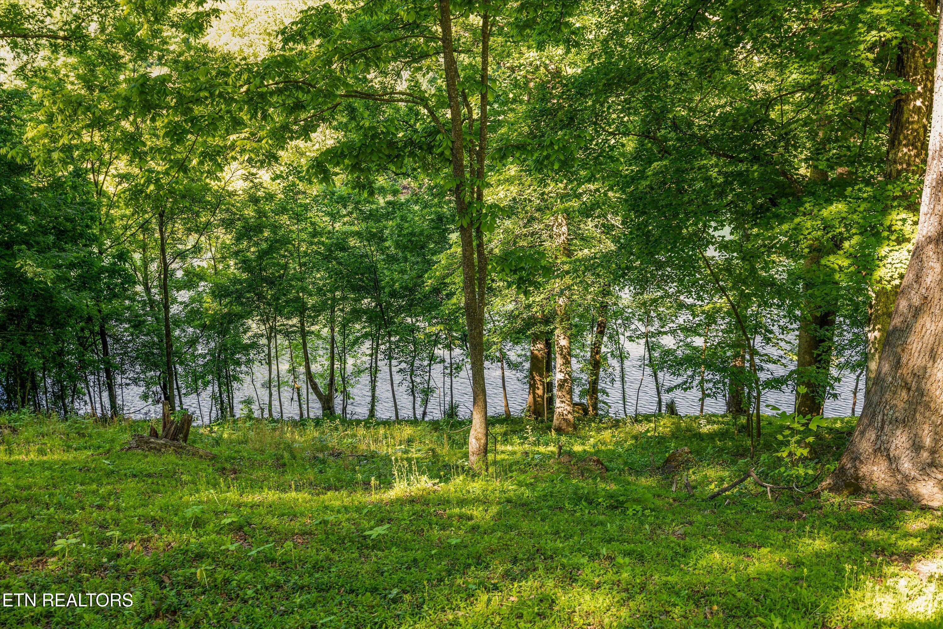 116 Wildwood Trail Andersonville TN 37705