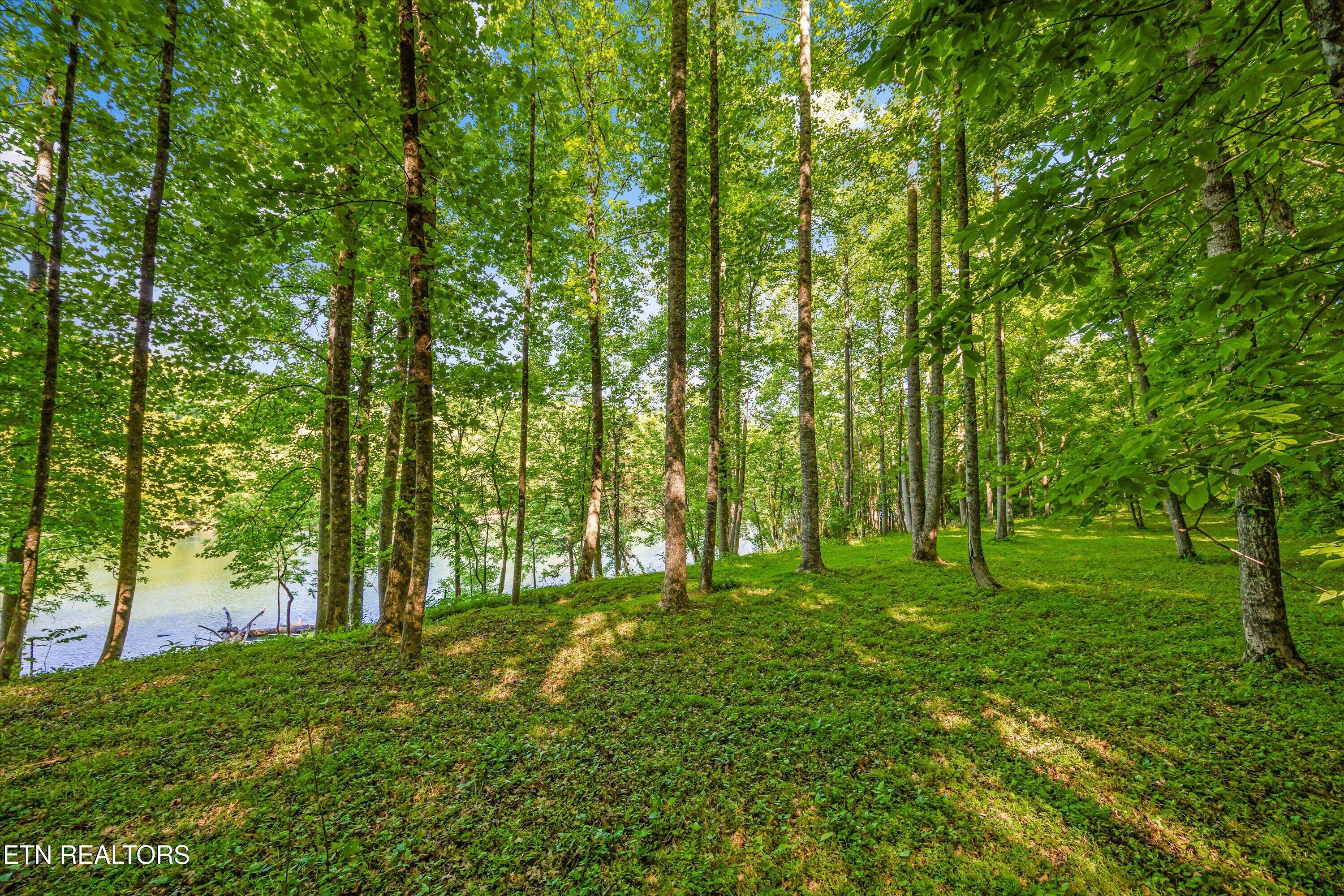 116 Wildwood Trail Andersonville TN 37705