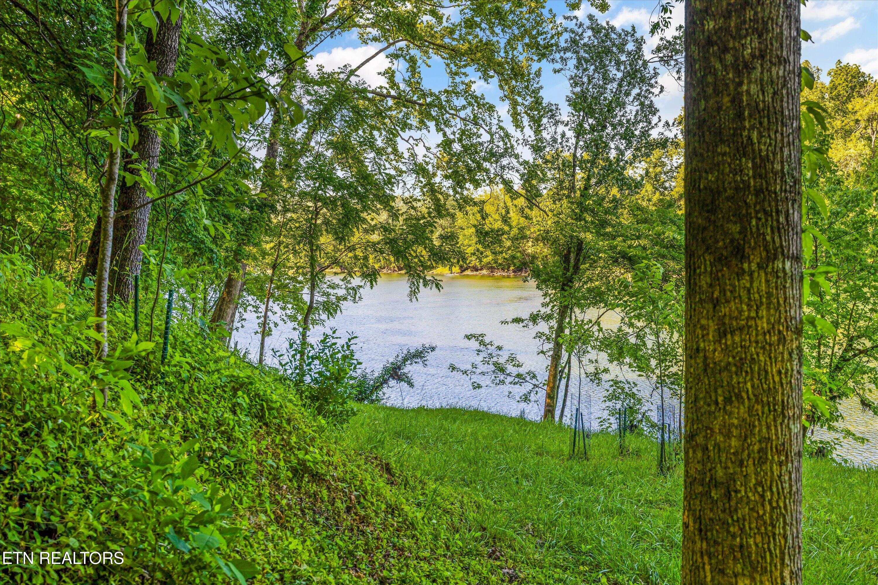 116 Wildwood Trail Andersonville TN 37705