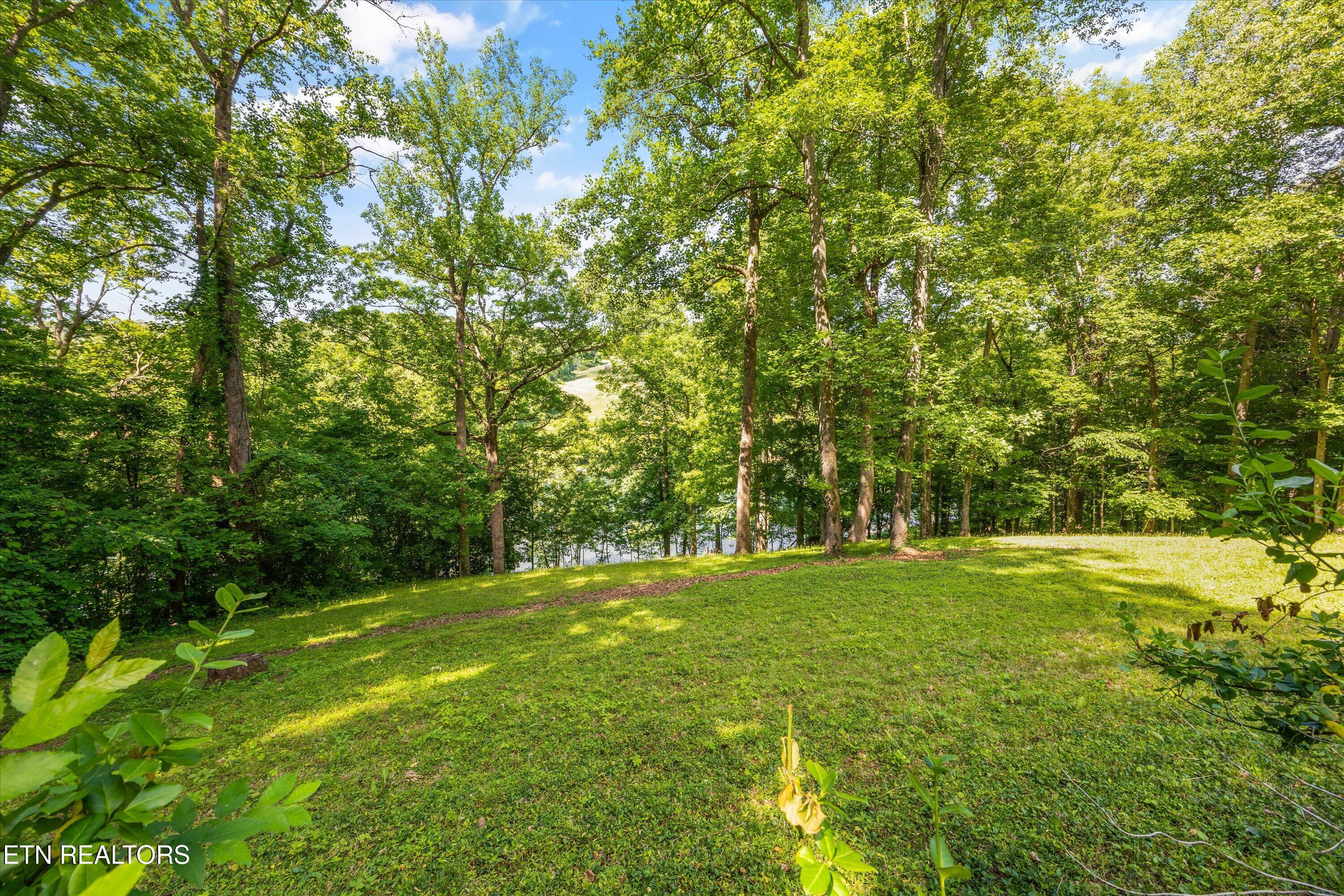116 Wildwood Trail Andersonville TN 37705