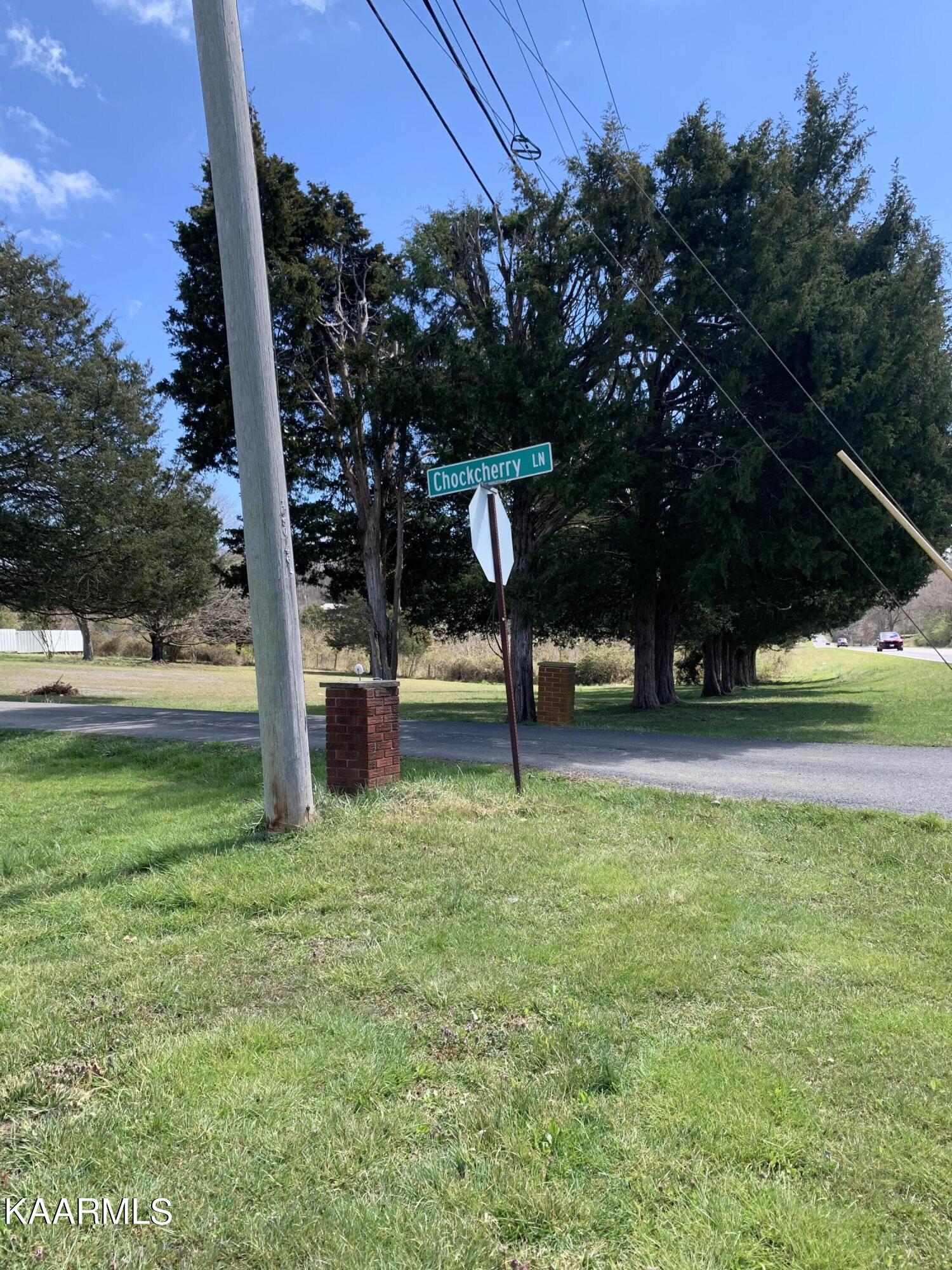 3406 Chockcherry Lane White Pine TN 37890