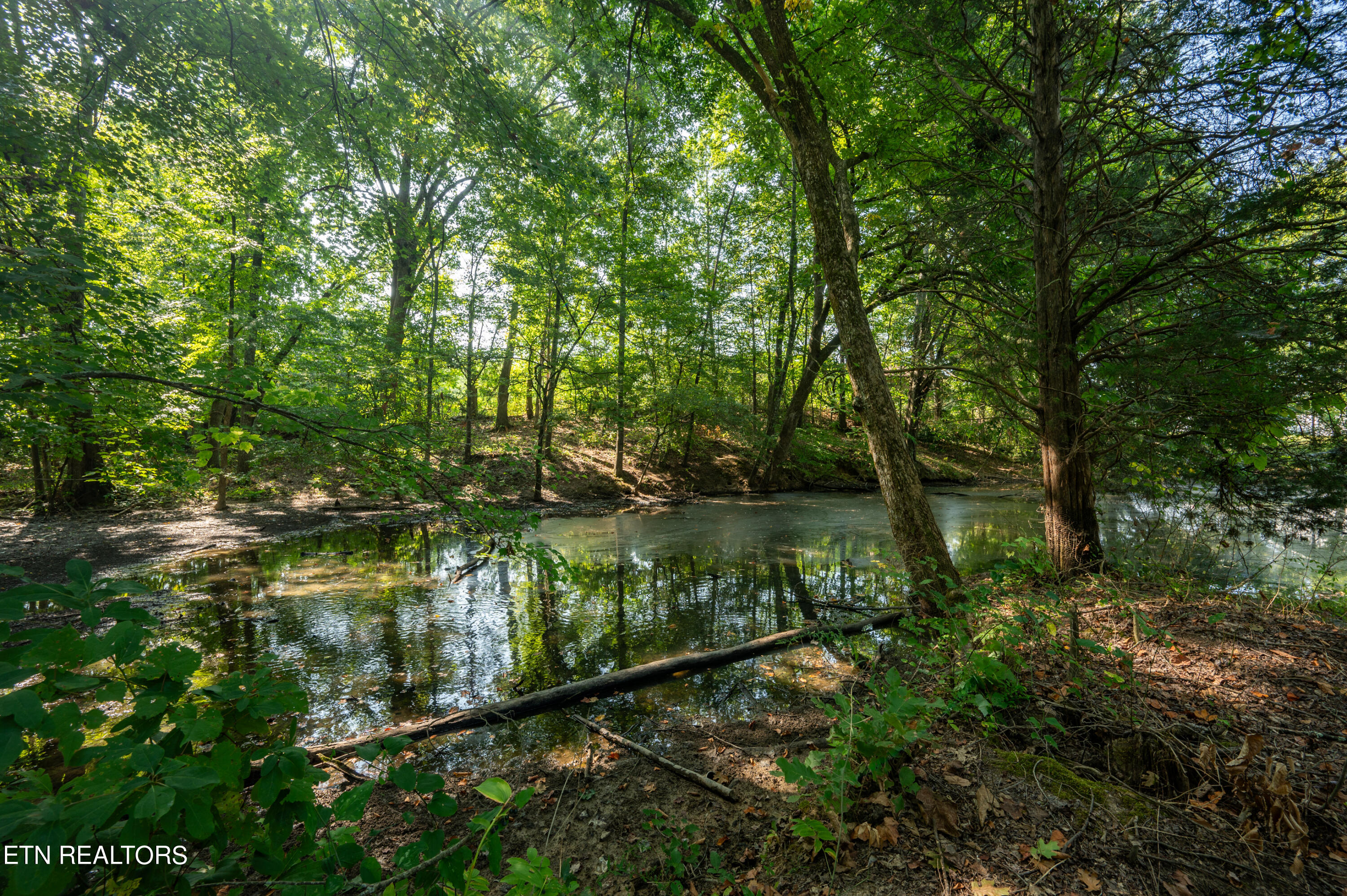 179 Smith Road Clinton TN 37716