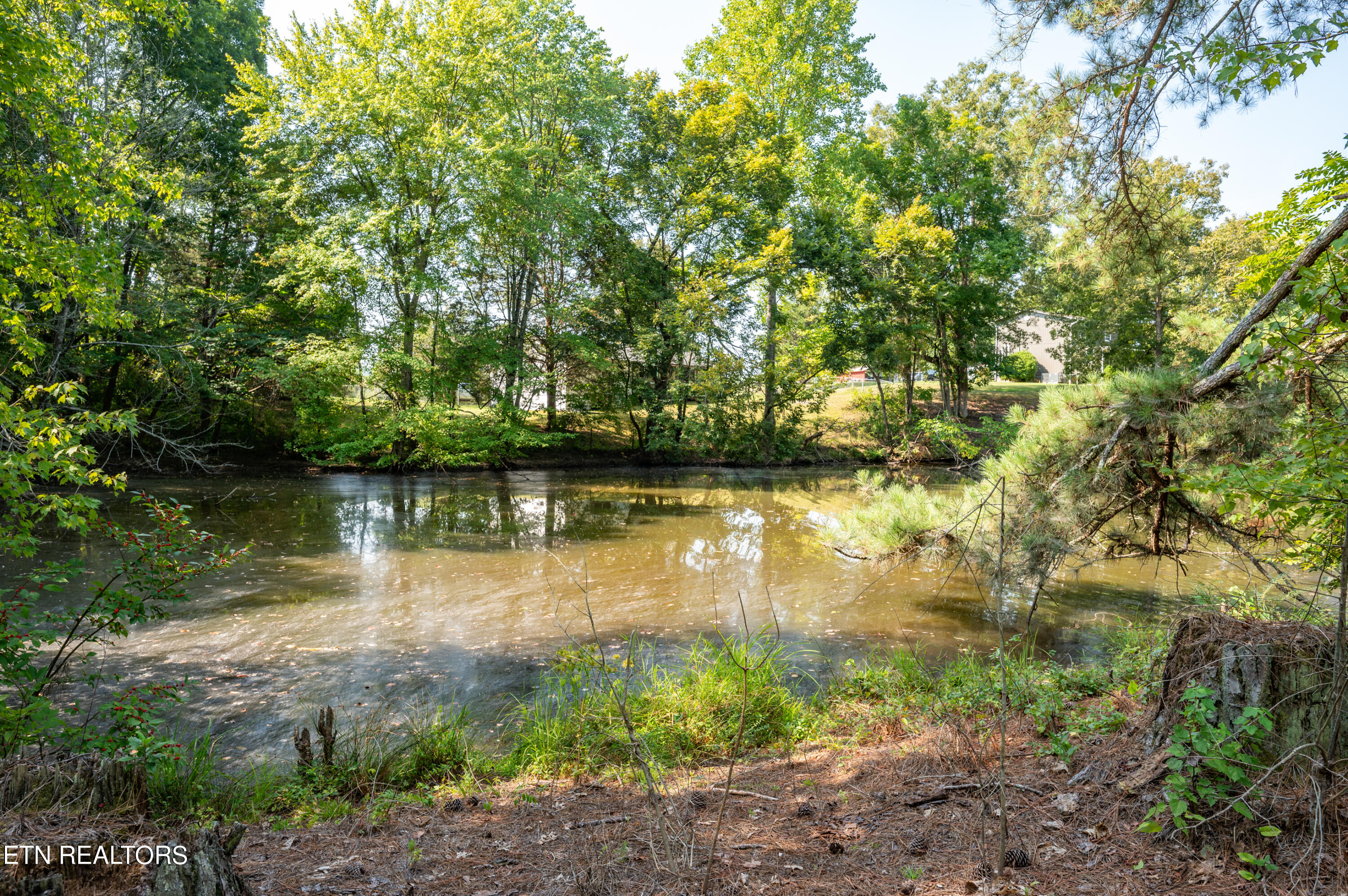 179 Smith Road Clinton TN 37716