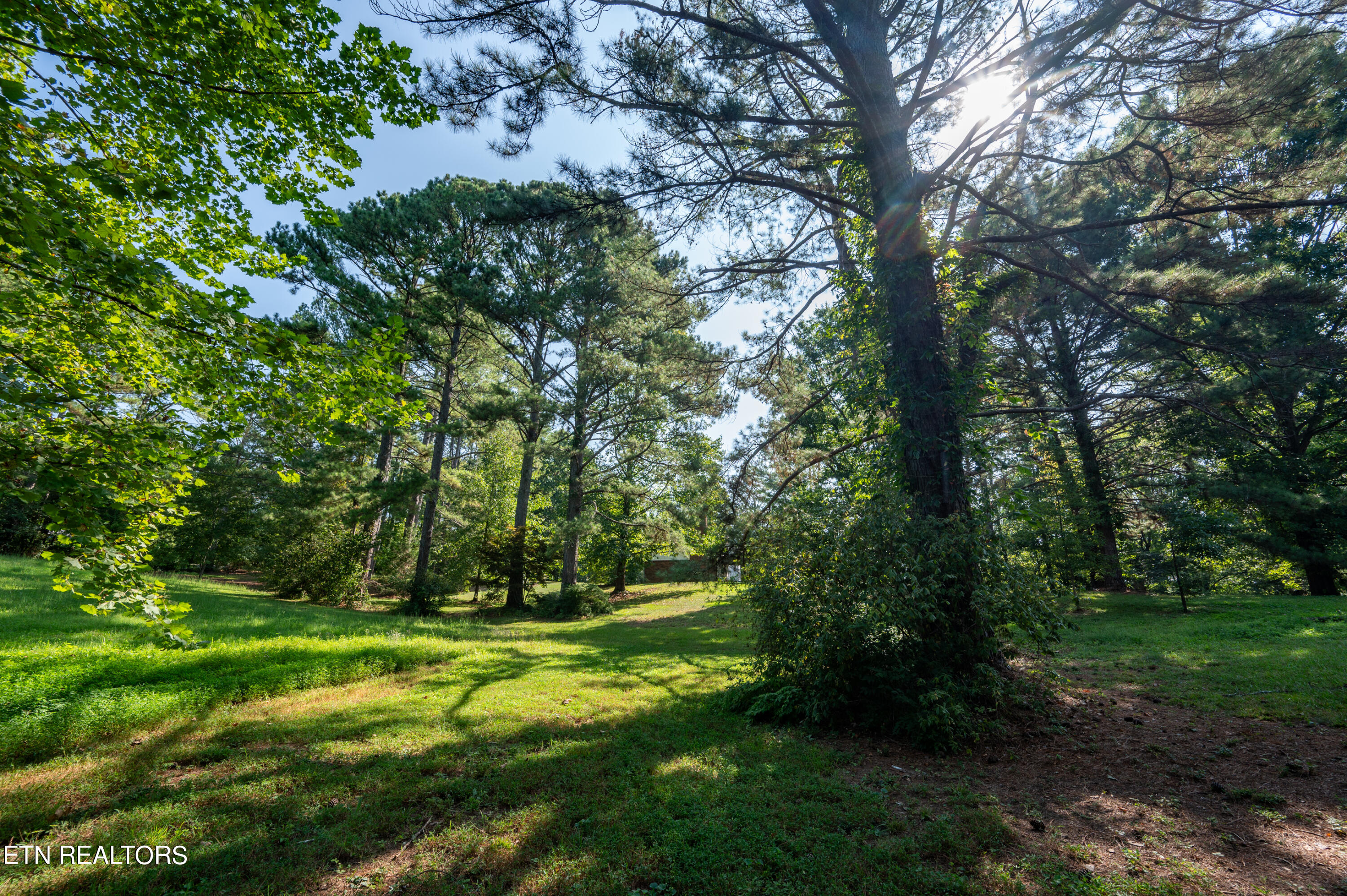 179 Smith Road Clinton TN 37716