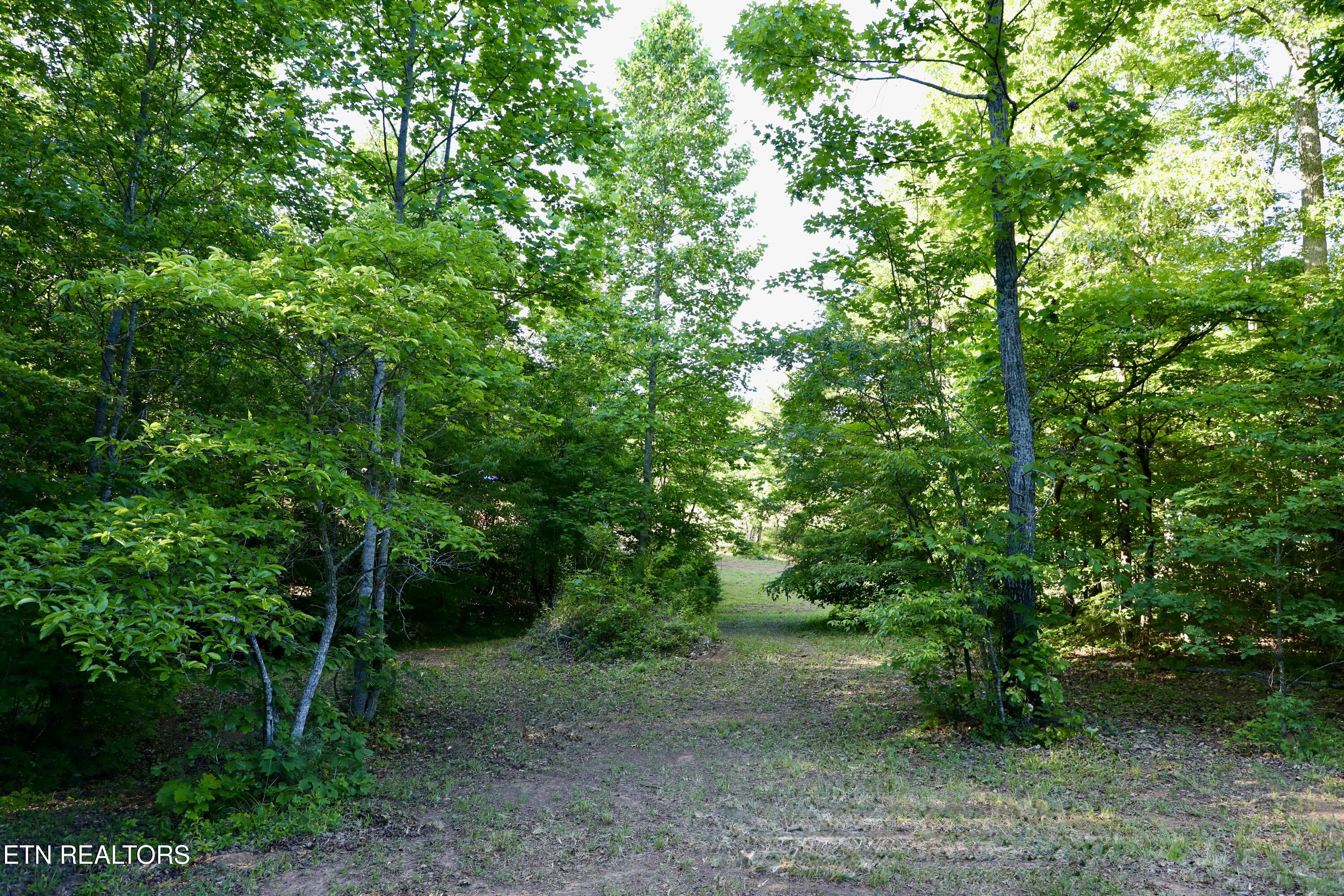 7142 Tomotley Road Maryville TN 37801