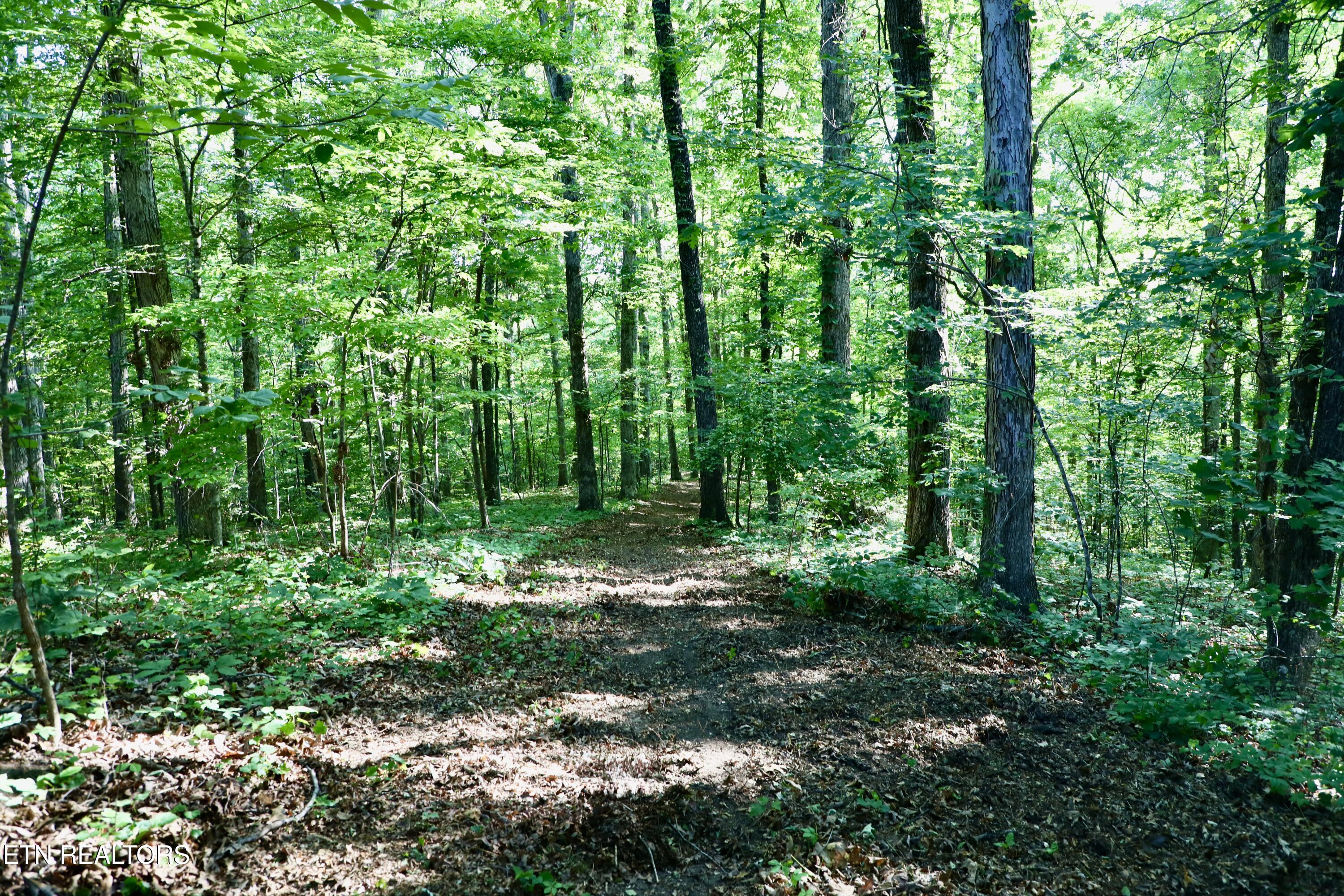 7142 Tomotley Road Maryville TN 37801