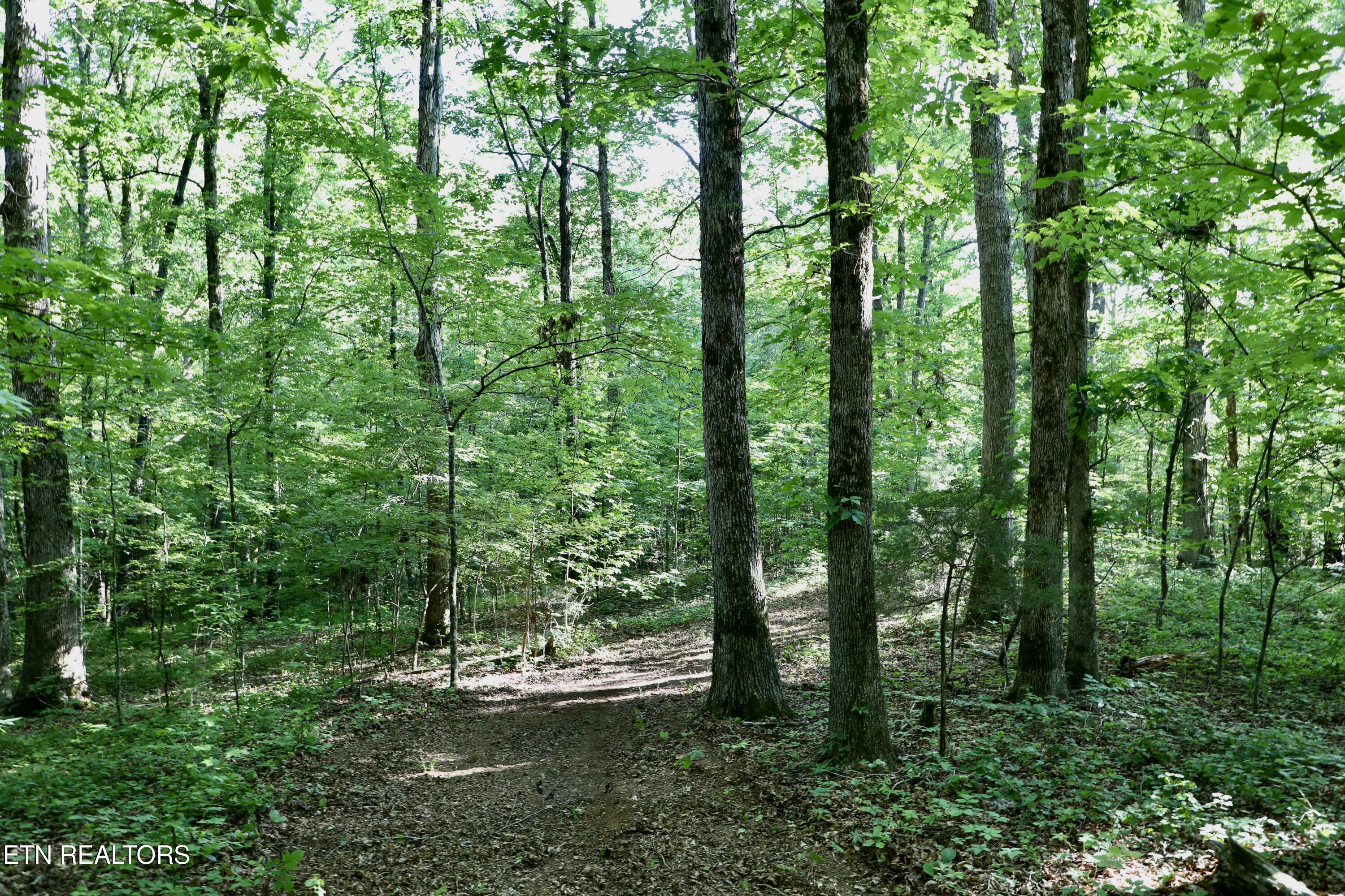 7142 Tomotley Road Maryville TN 37801