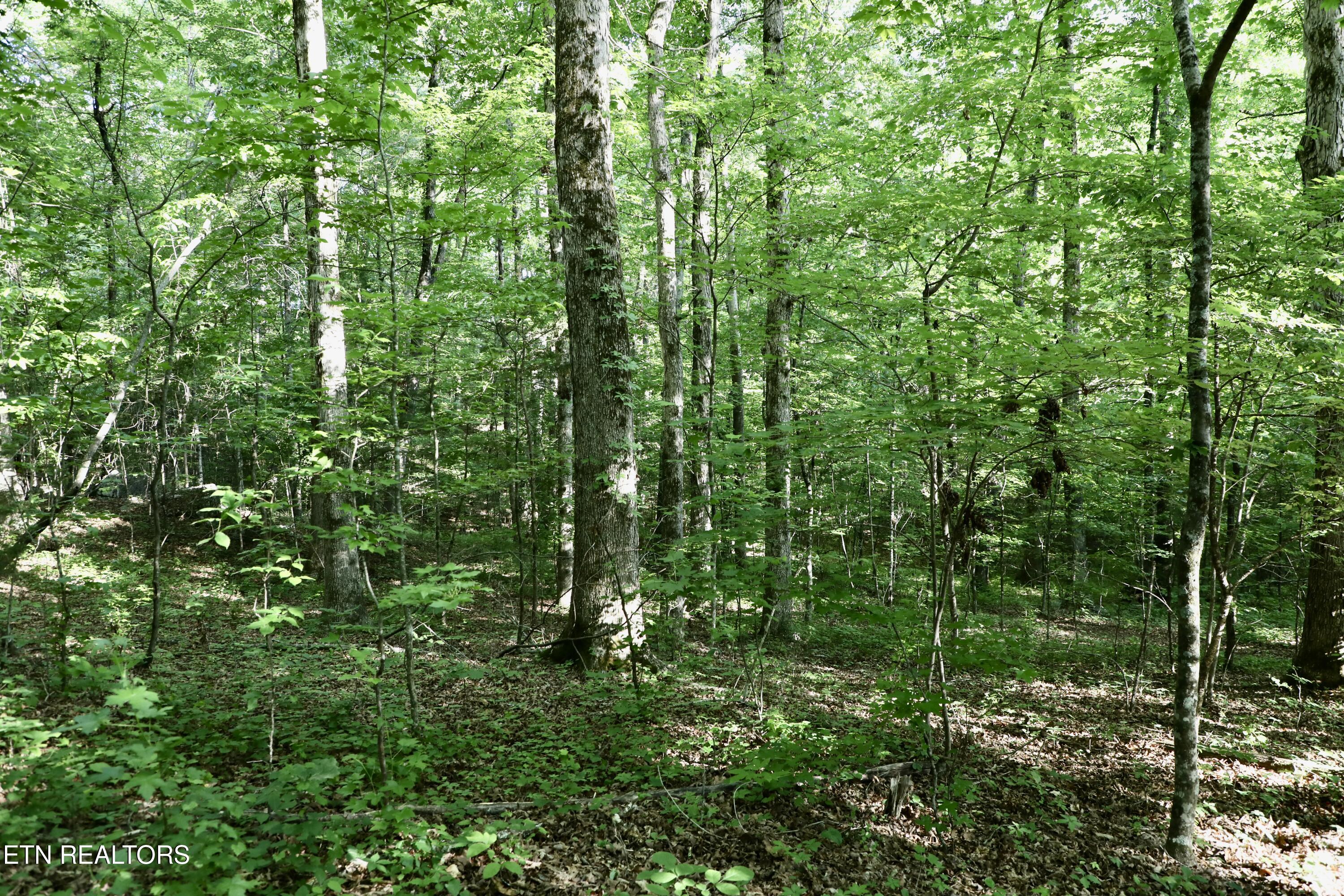 7142 Tomotley Road Maryville TN 37801