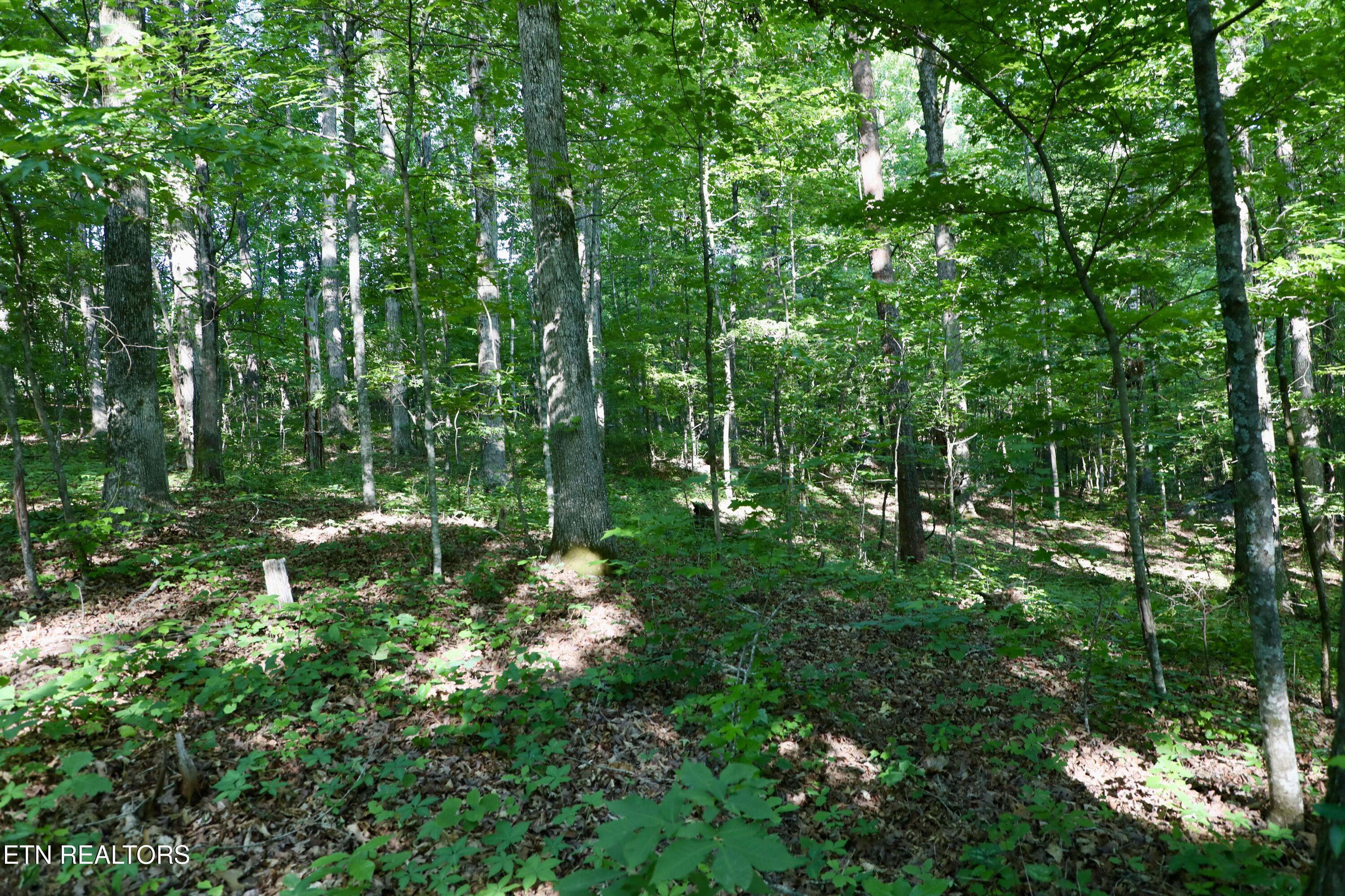 7142 Tomotley Road Maryville TN 37801