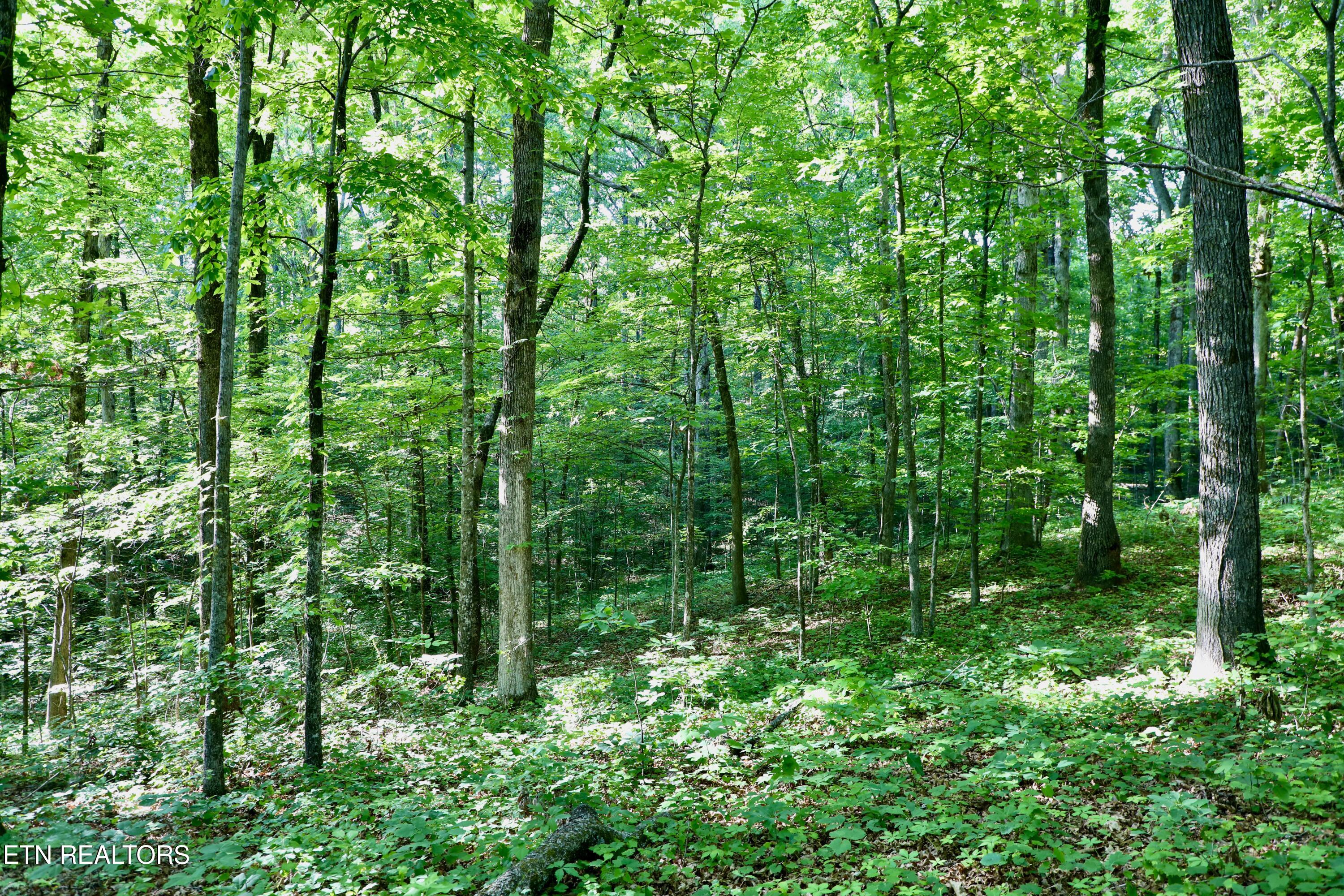 7142 Tomotley Road Maryville TN 37801