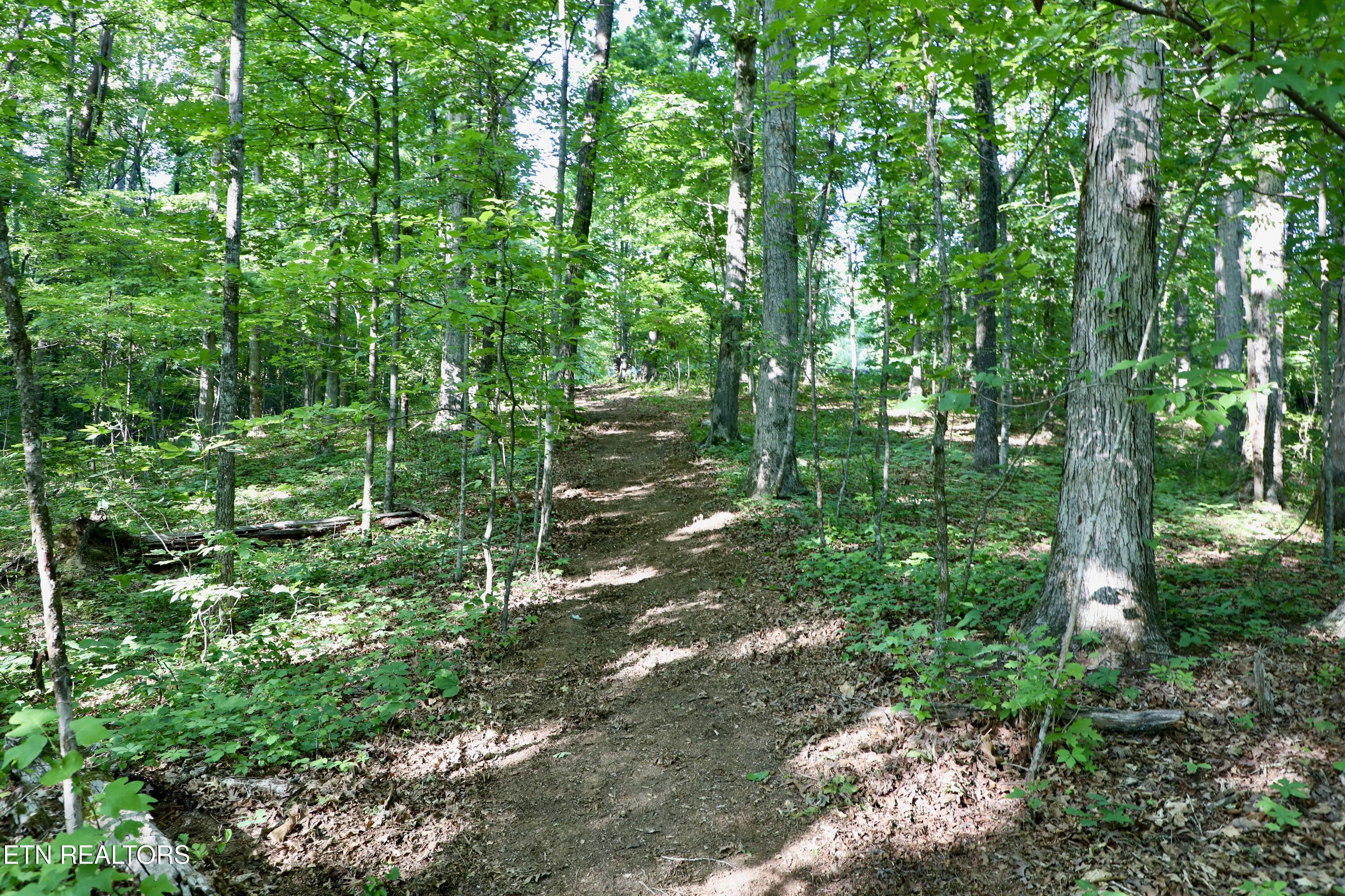 7142 Tomotley Road Maryville TN 37801
