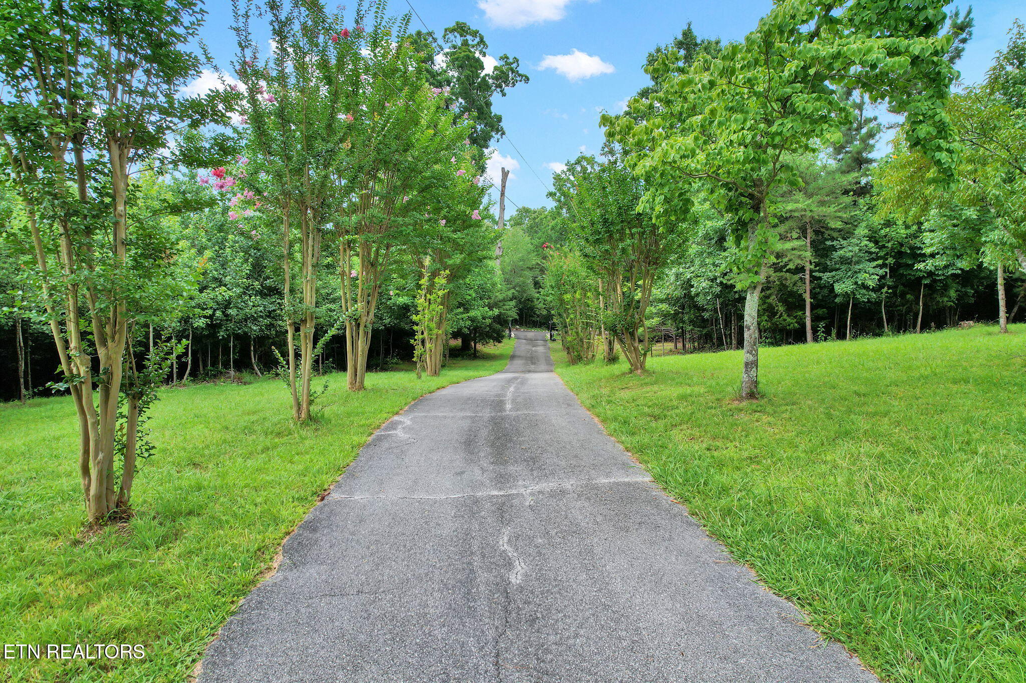 1751 County Road 50 Riceville TN 37370