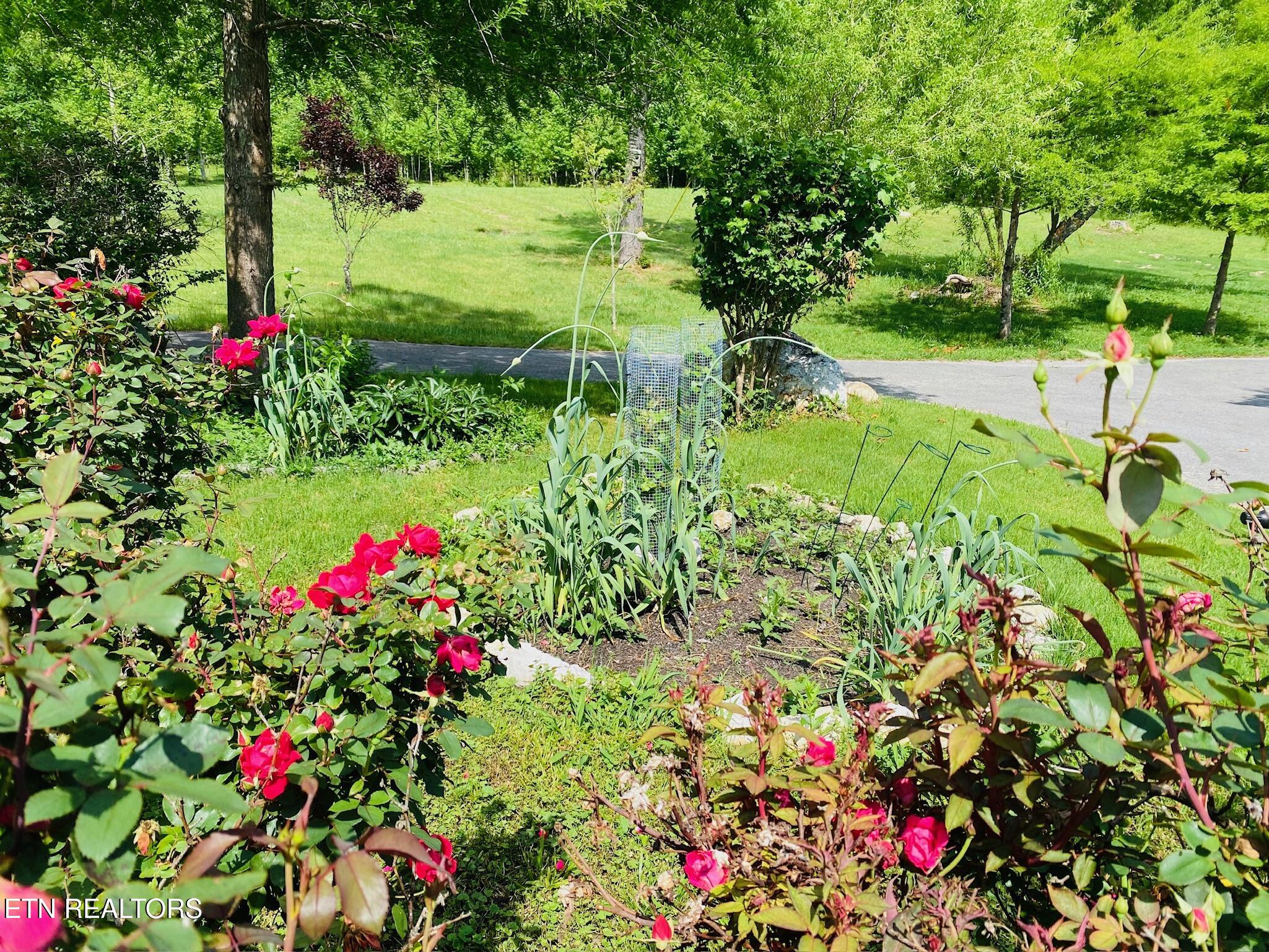 1751 County Road 50 Riceville TN 37370
