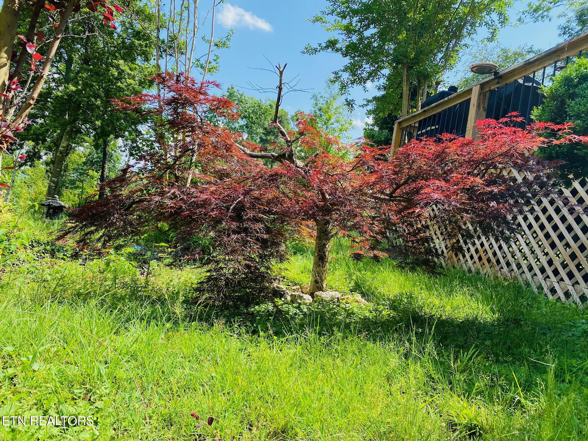 1751 County Road 50 Riceville TN 37370