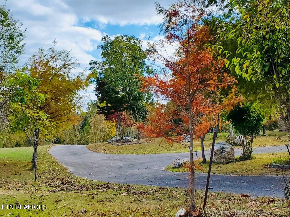 1751 County Road 50 Riceville TN 37370