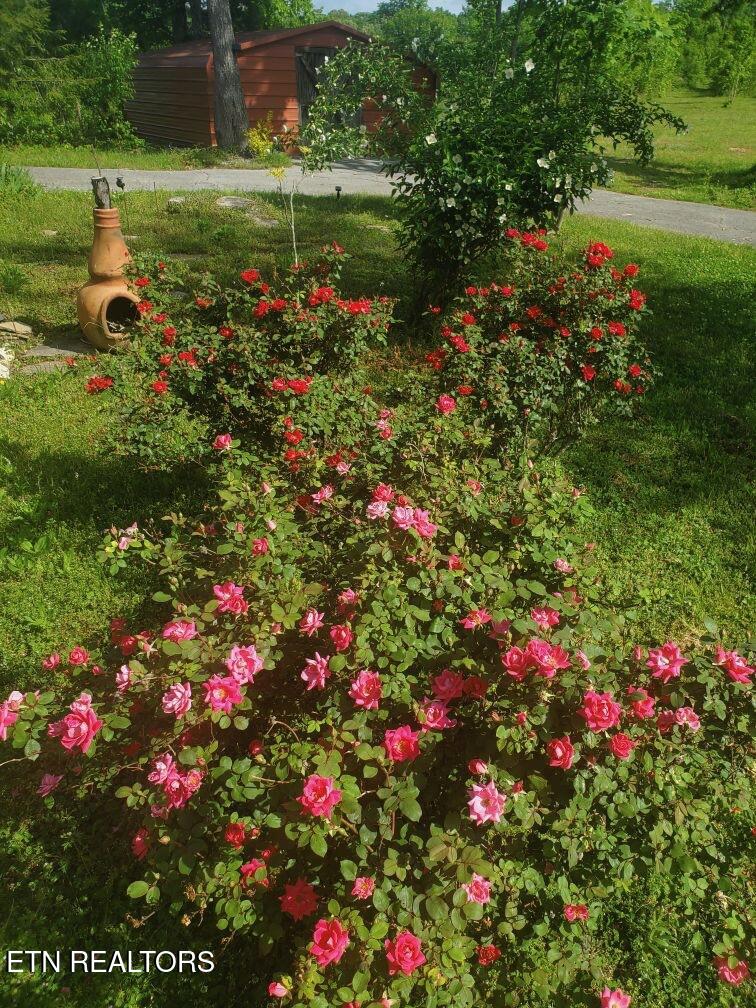 1751 County Road 50 Riceville TN 37370