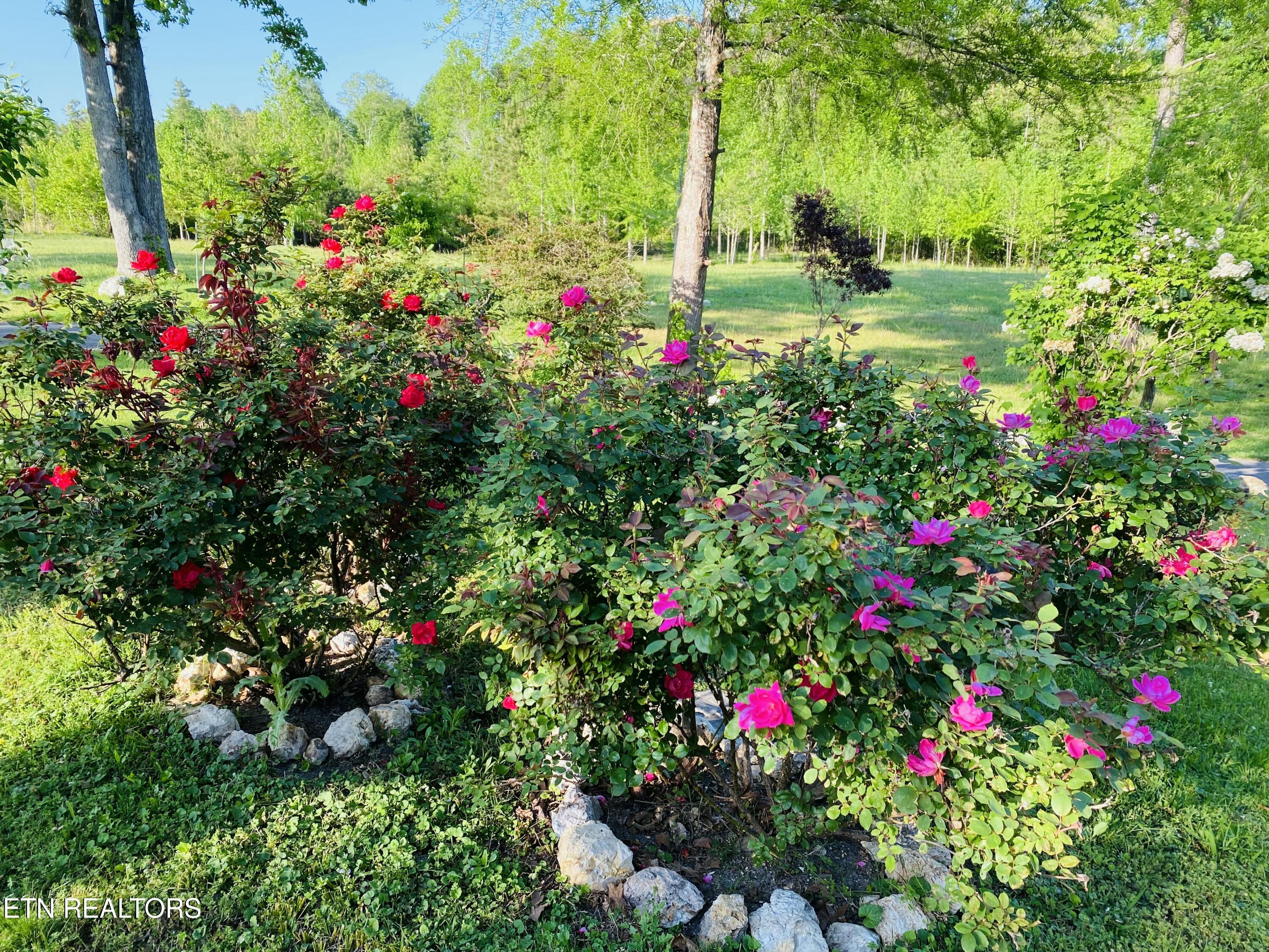 1751 County Road 50 Riceville TN 37370