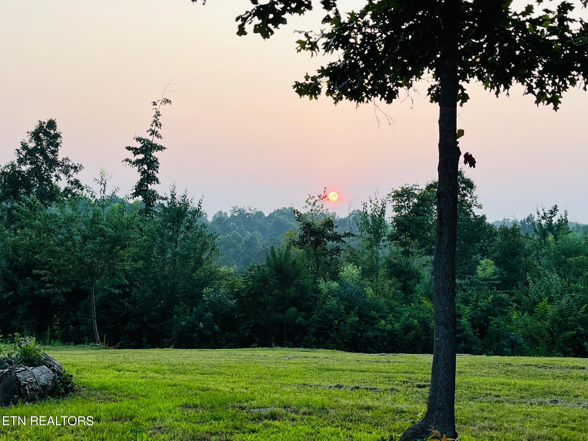 1751 County Road 50 Riceville TN 37370