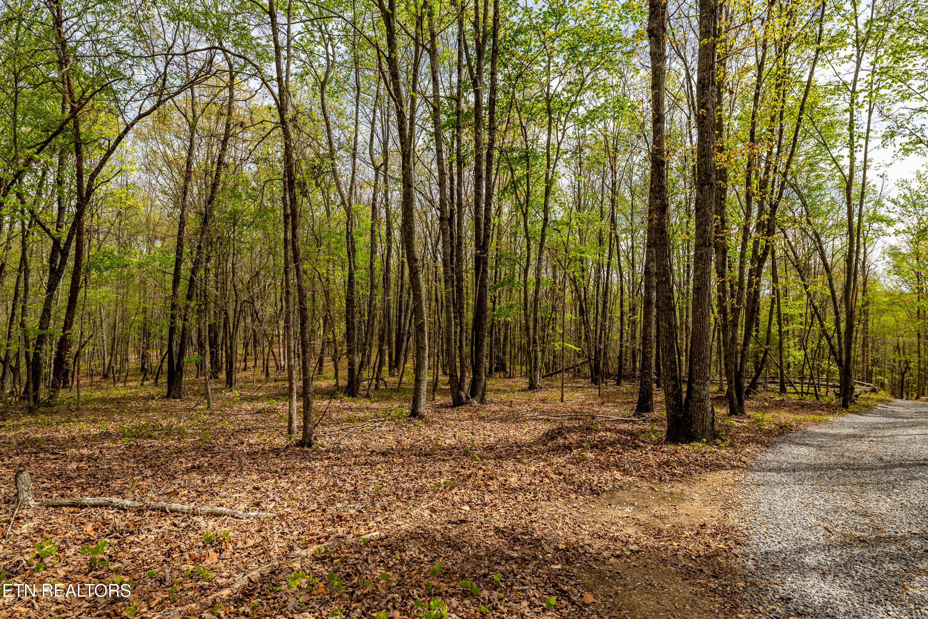 702 Dogwood Valley Road Kingston TN 37763
