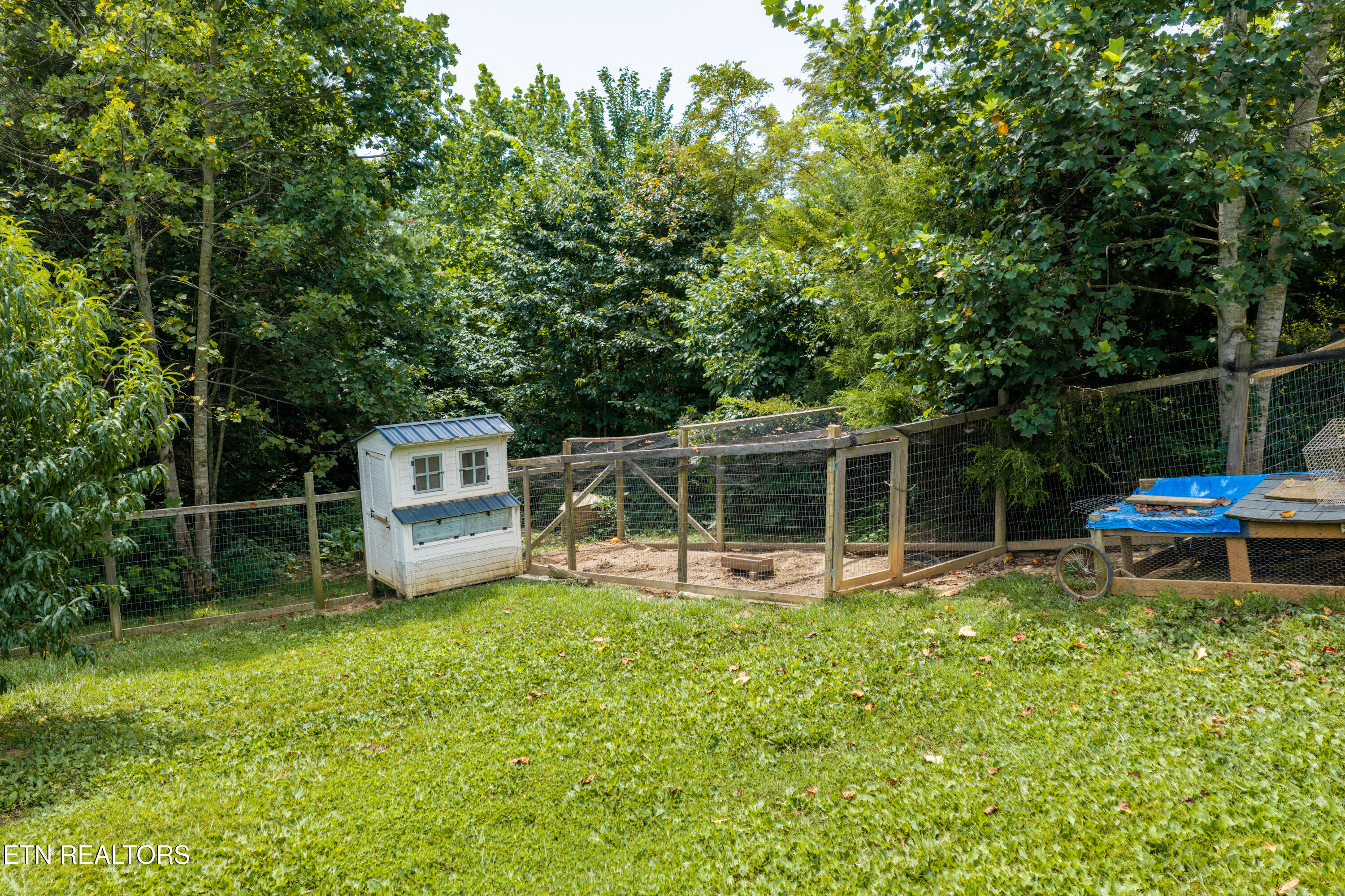 126 Gregory Lane Maynardville TN 37807