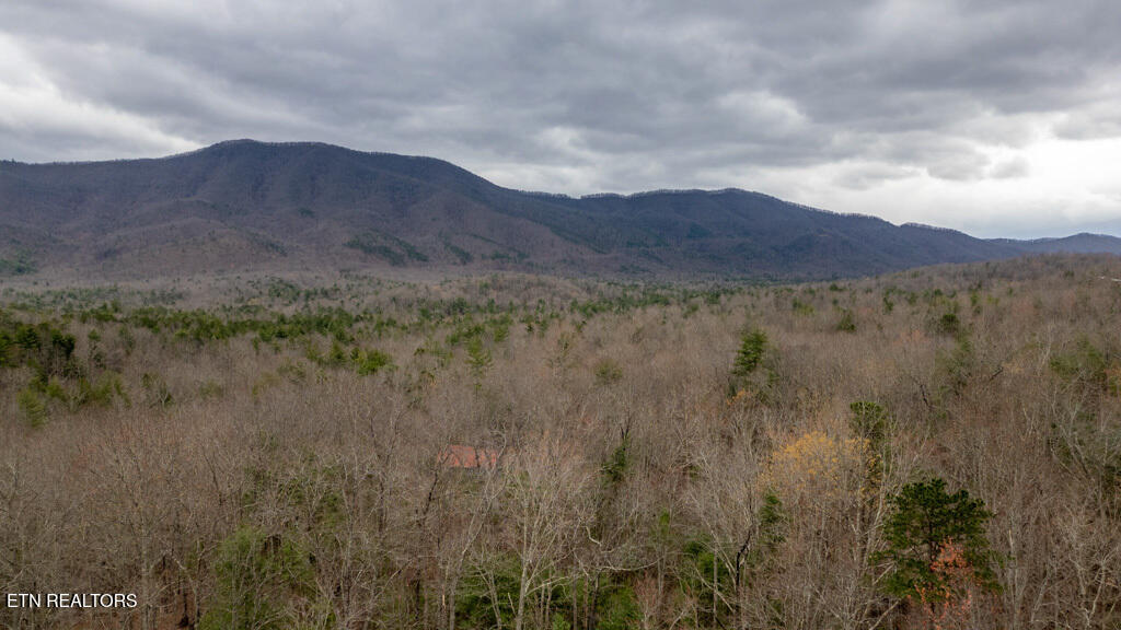 2688 Rafter Road Tellico Plains TN 37385