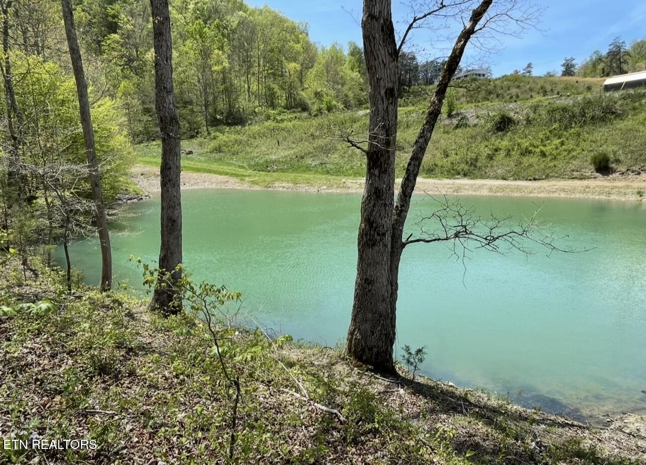 3796 Highway 25e S Tazewell TN 37879
