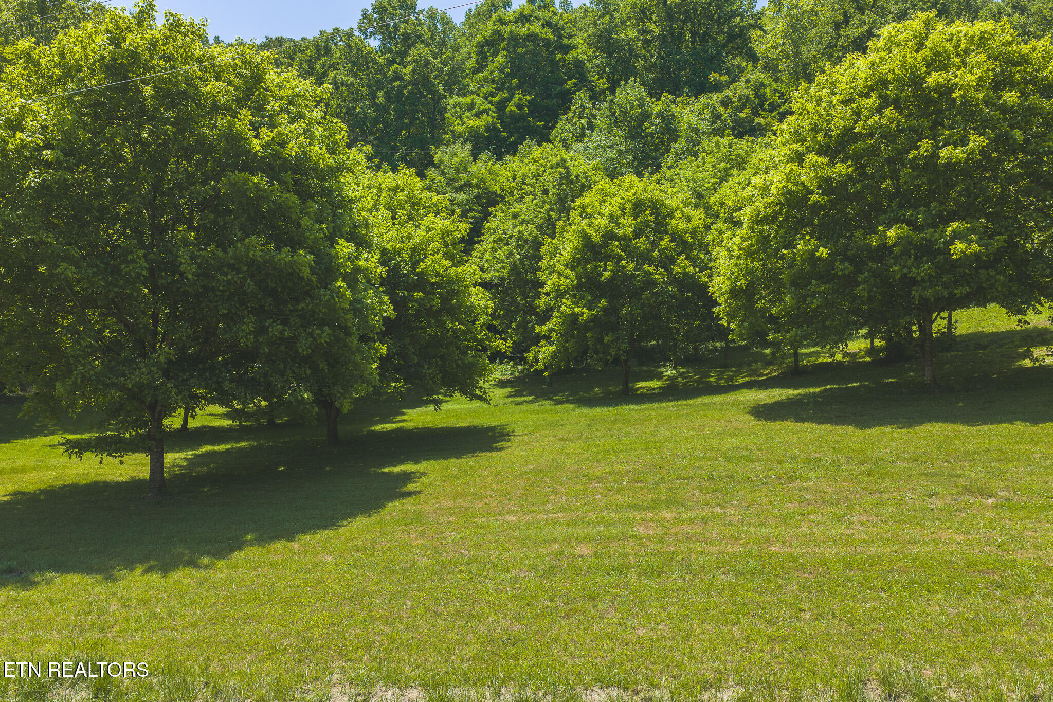 622 Earls Hollow Road Speedwell TN 37870