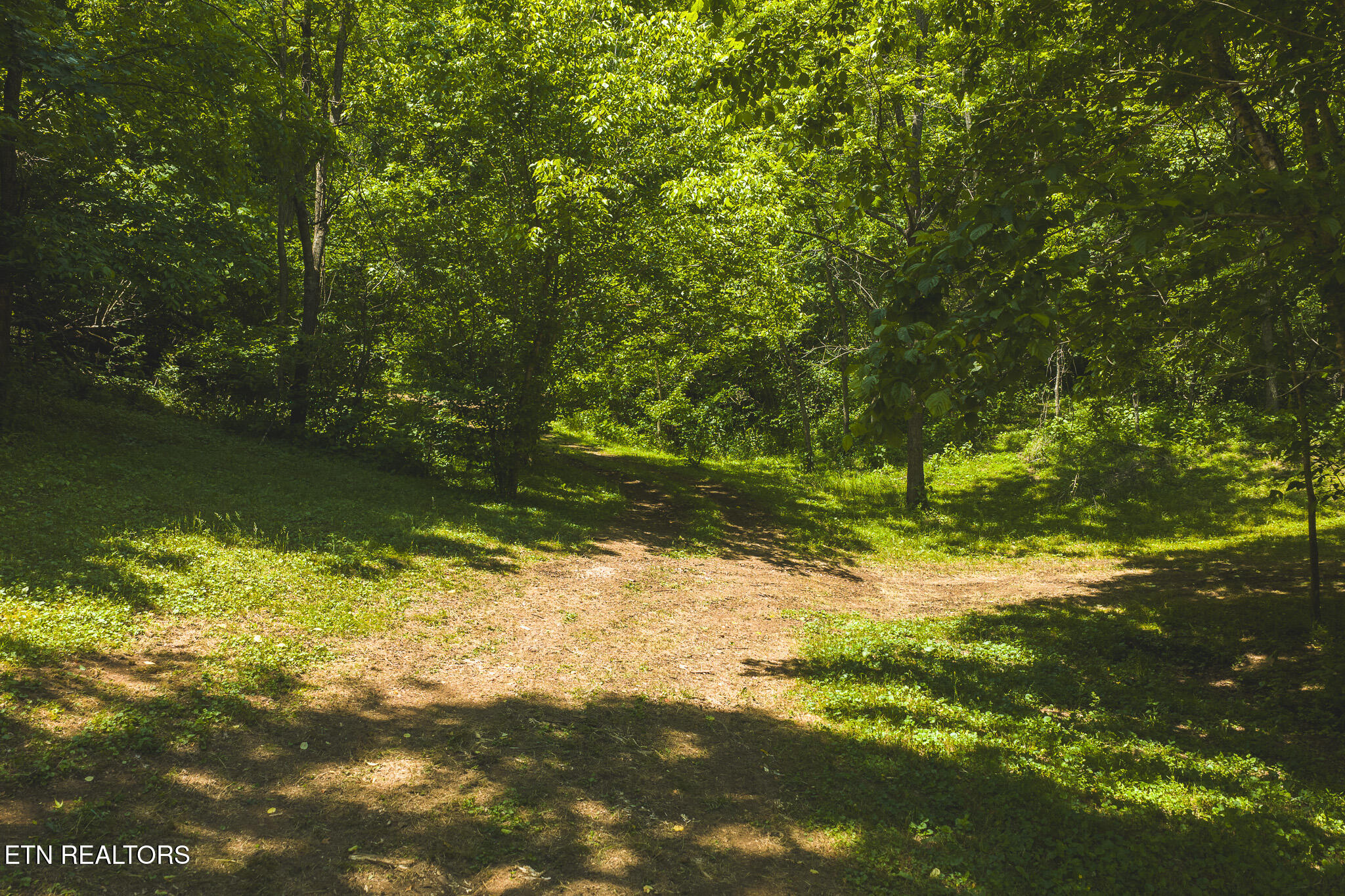 622 Earls Hollow Road Speedwell TN 37870