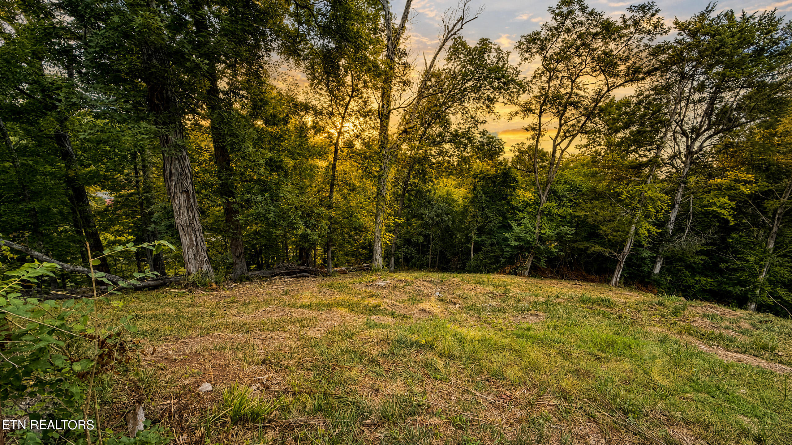 1869 E Old Topside Road Louisville TN 37777