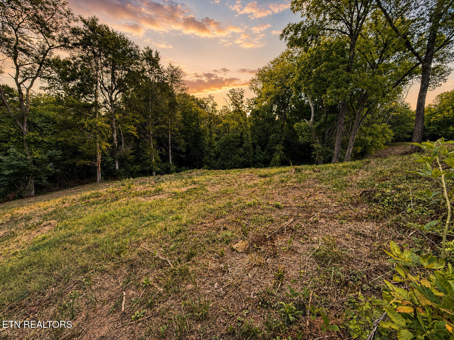 1869 E Old Topside Road Louisville TN 37777