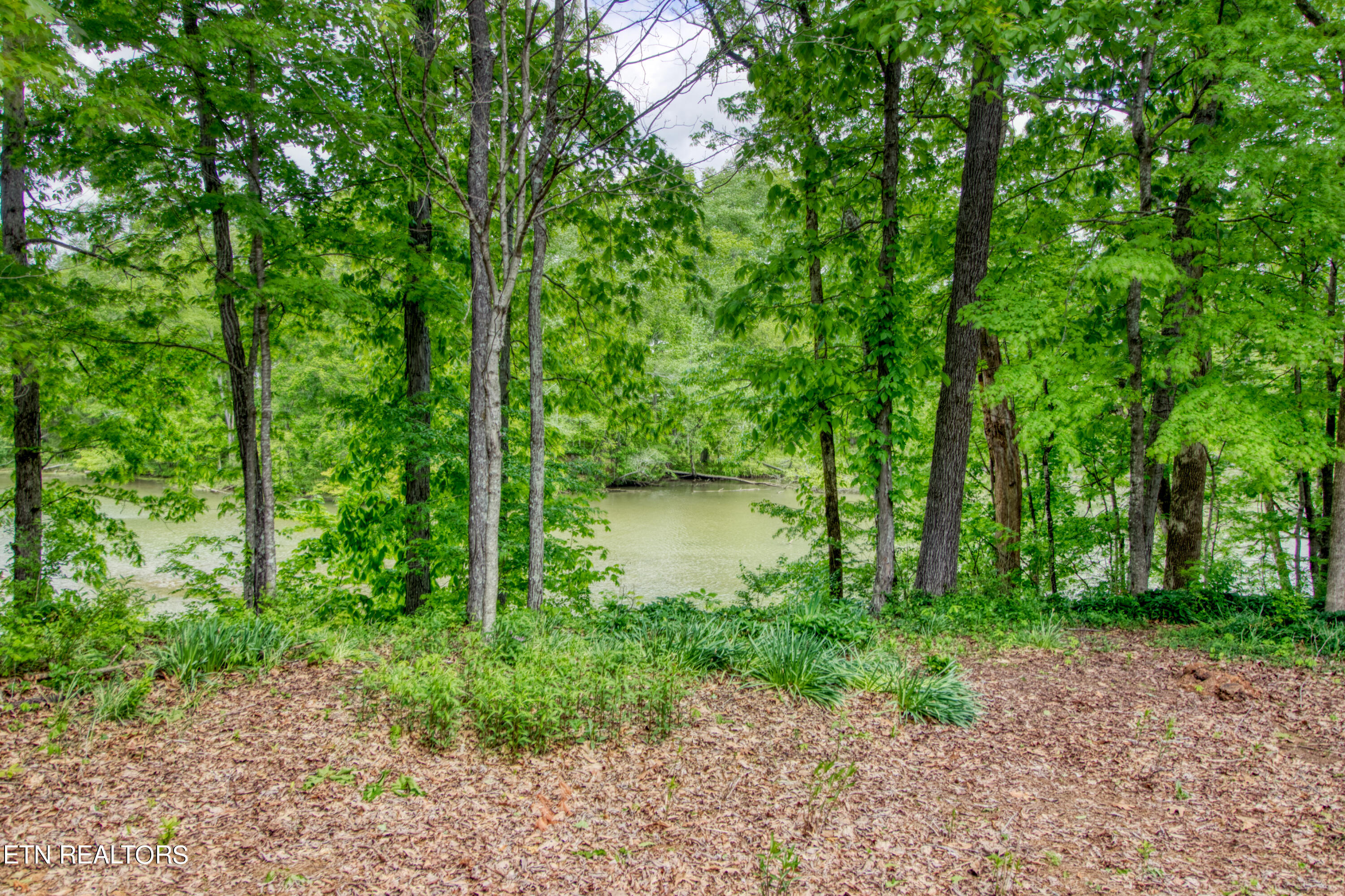 20 Palisades Parkway Oak Ridge TN 37830