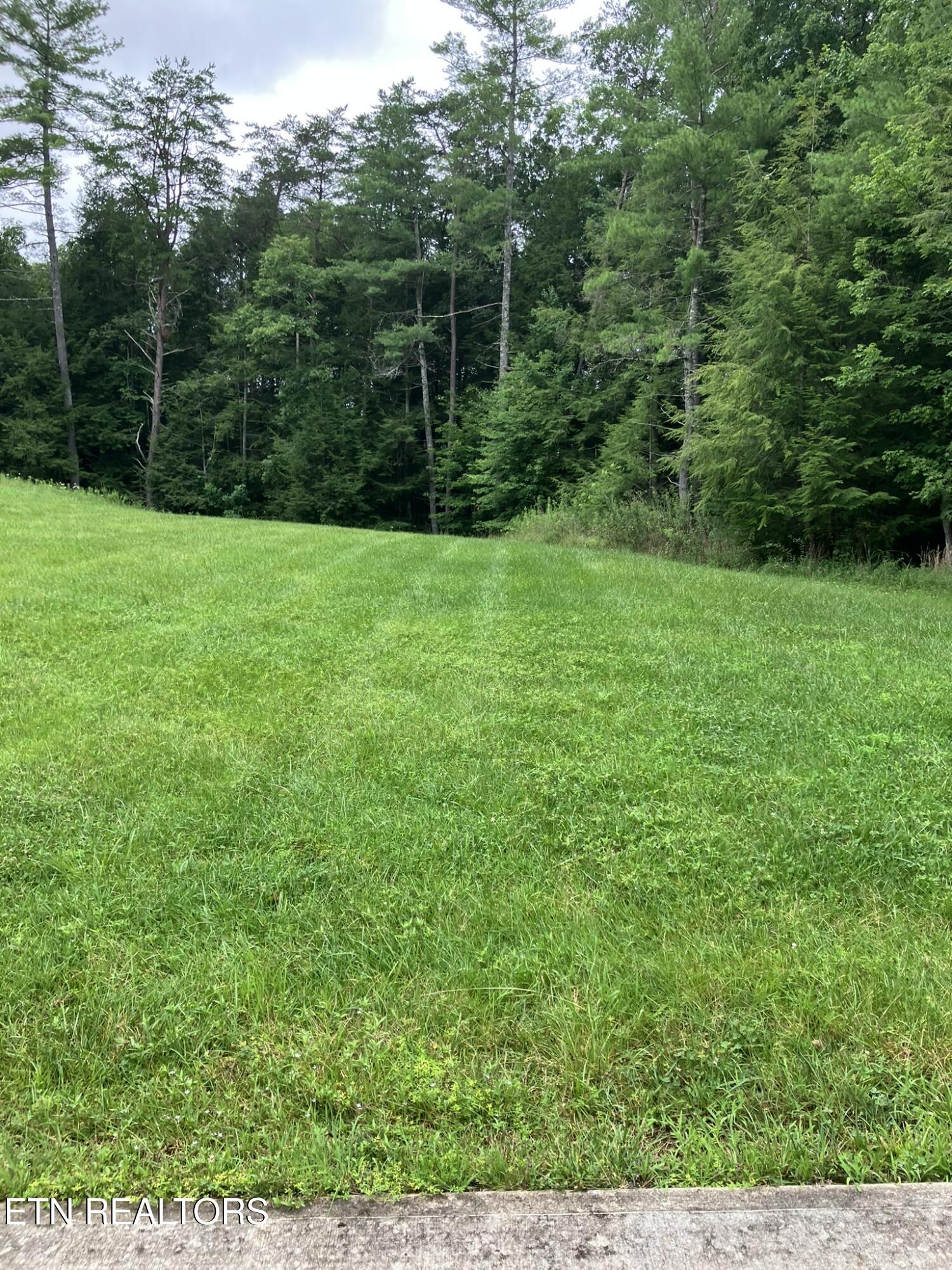 381 Lakewood Drive Jamestown TN 38556