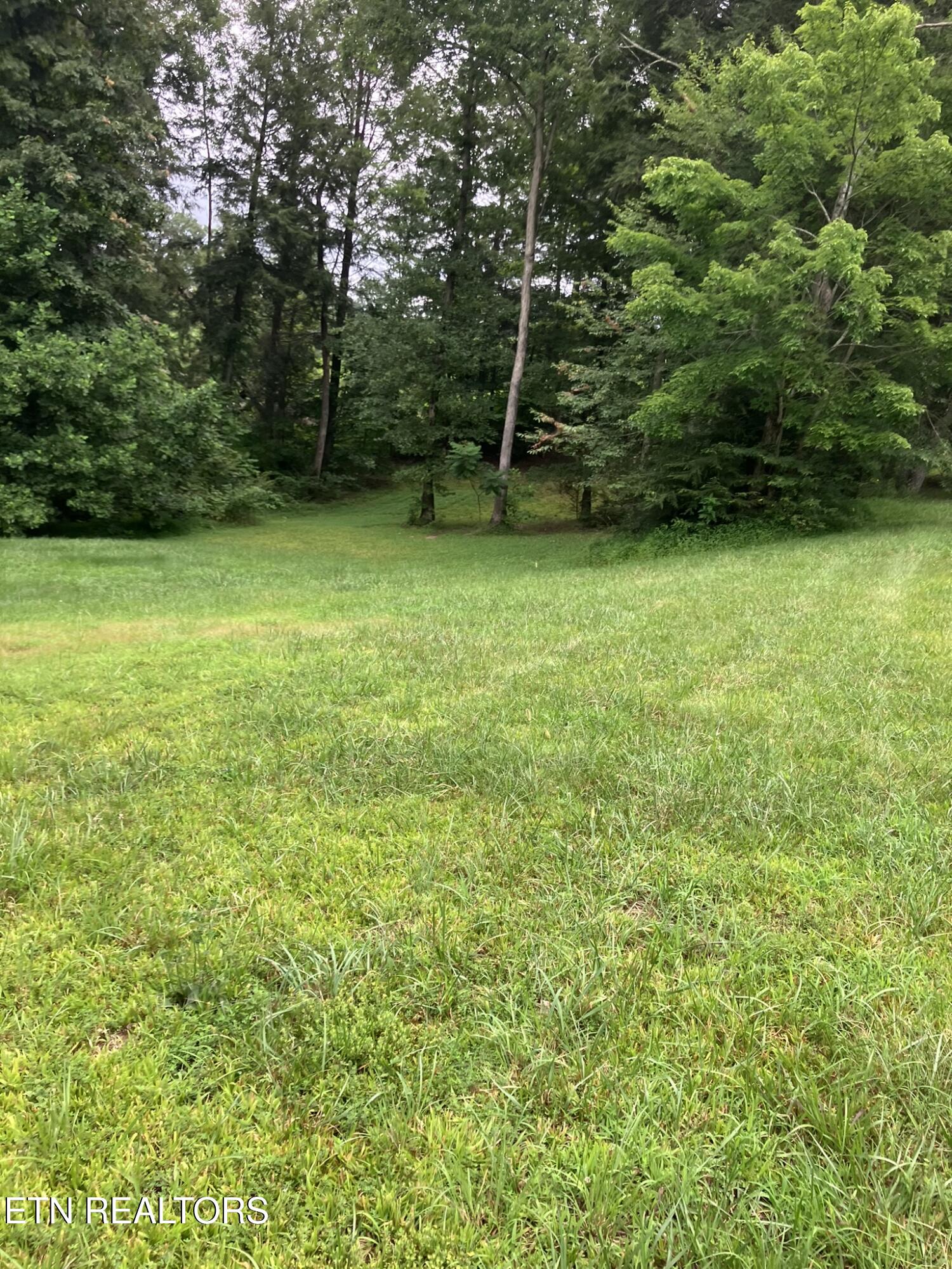 381 Lakewood Drive Jamestown TN 38556