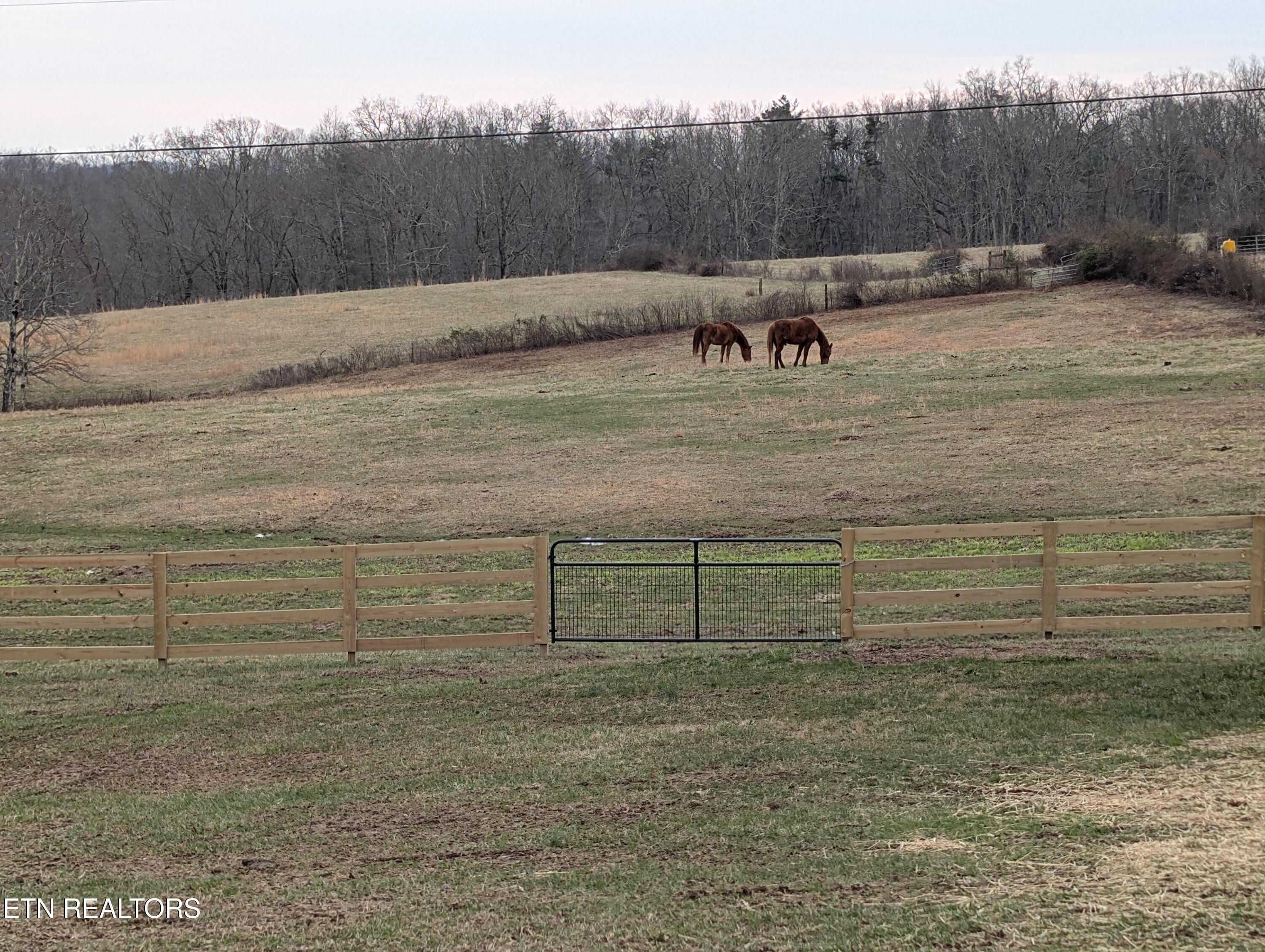 245 Happy Top Road Grandview TN 37337