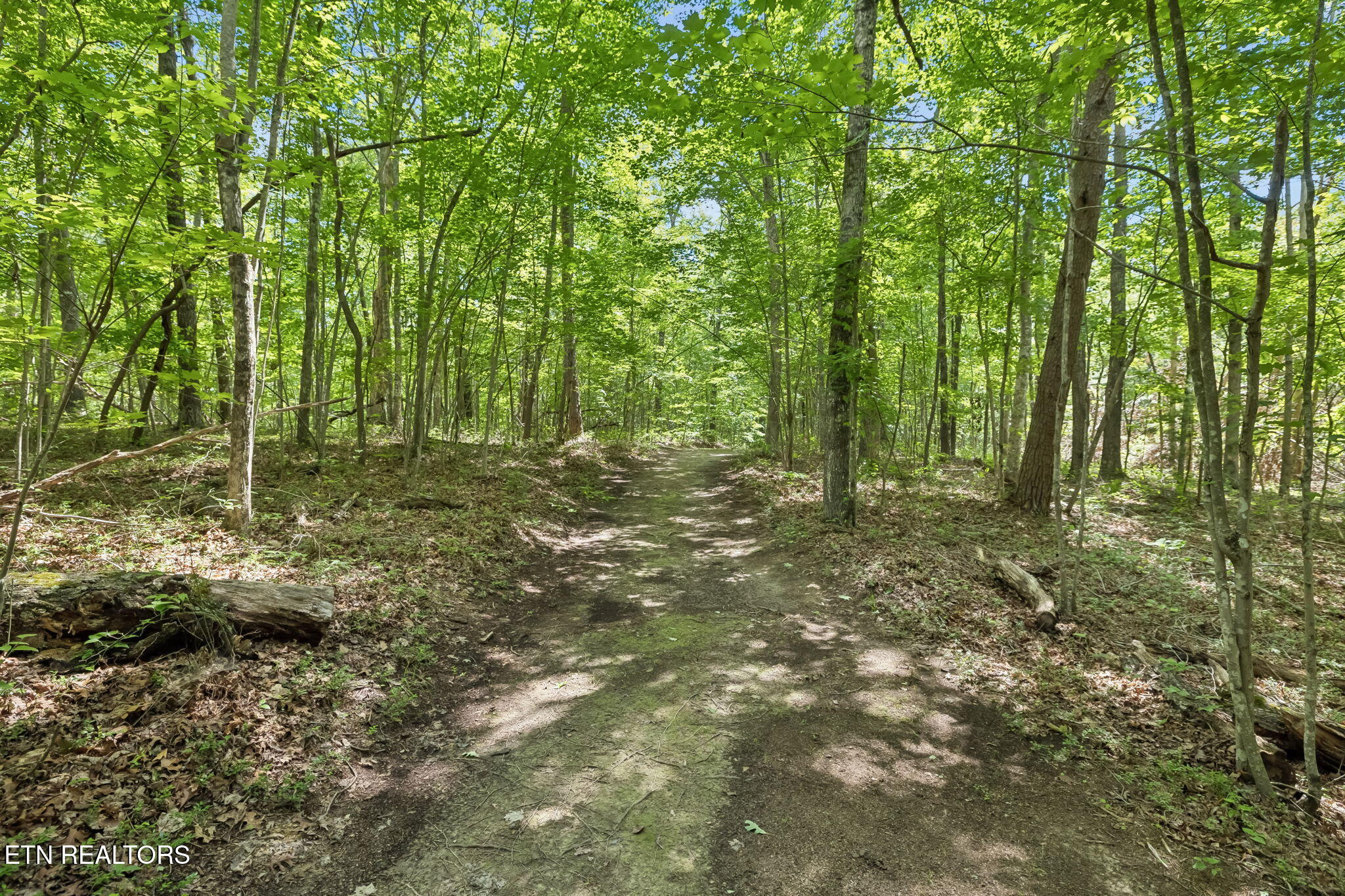 340 Doe Ridge Road Oneida TN 37841