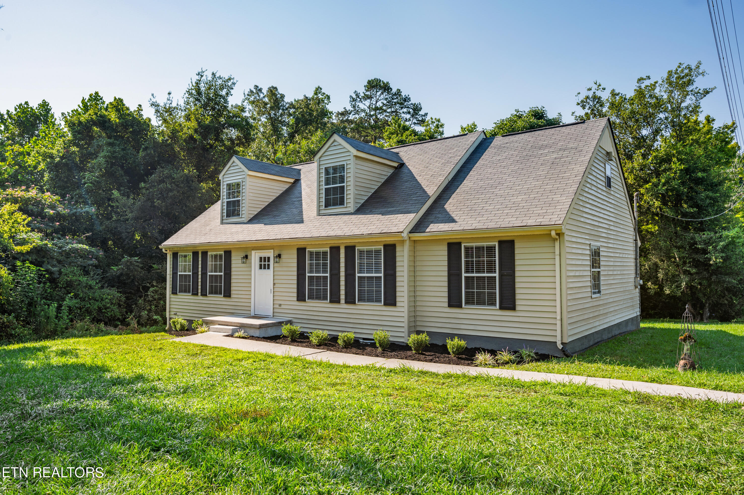 9708 Smoky Row Road Strawberry Plains TN 37871