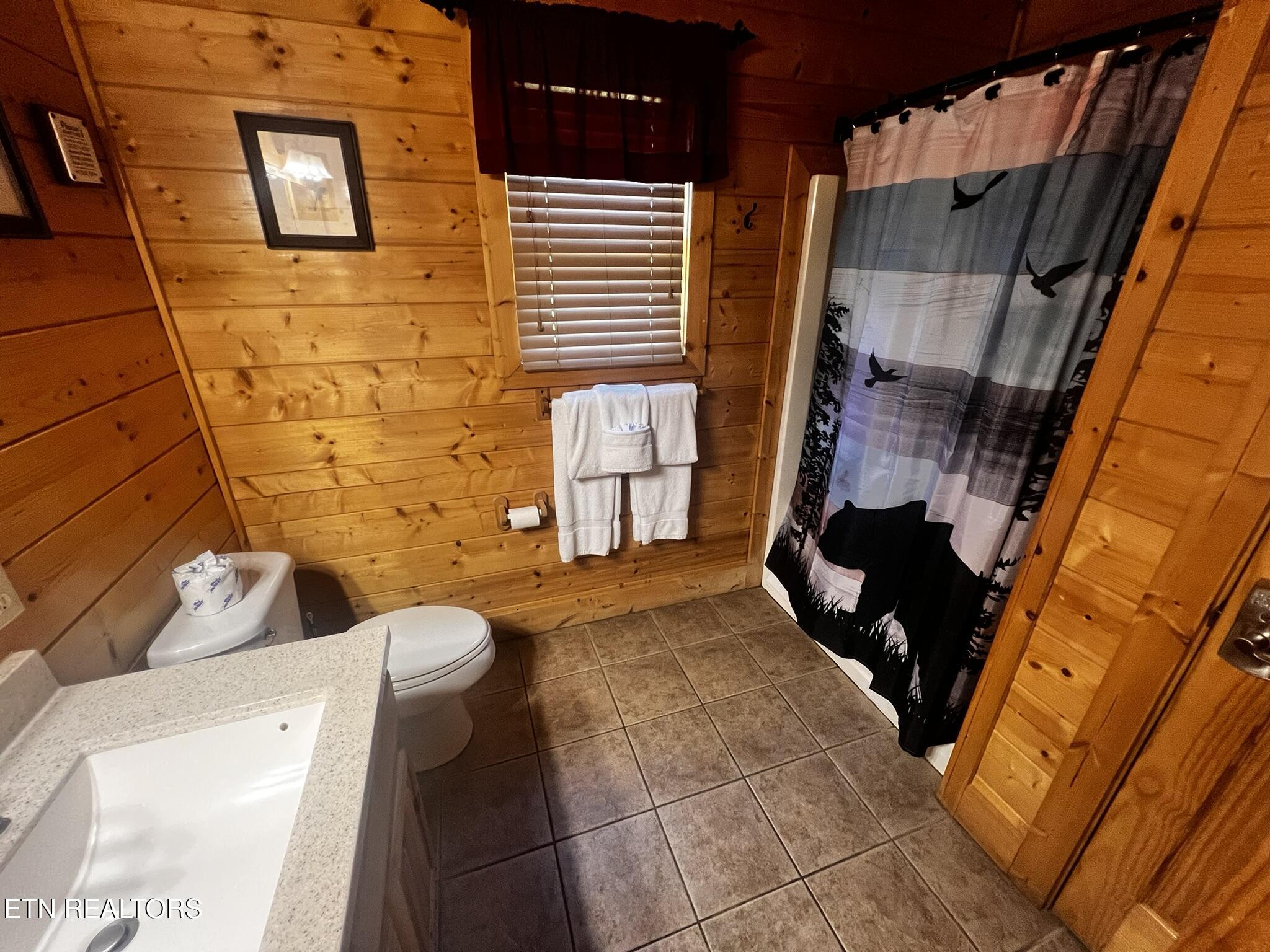 3216 White Falcon Way Pigeon Forge TN 37863