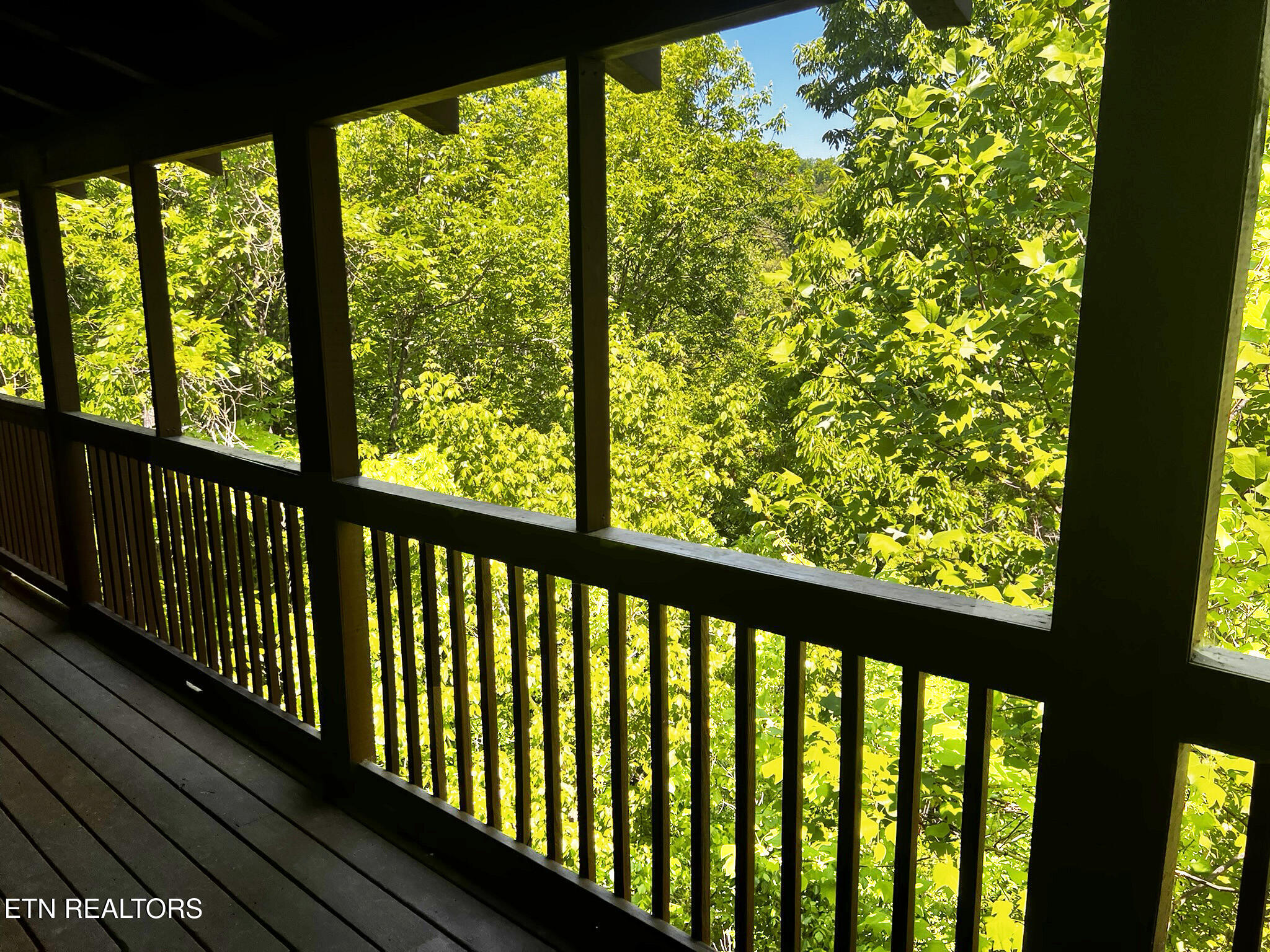 3216 White Falcon Way Pigeon Forge TN 37863