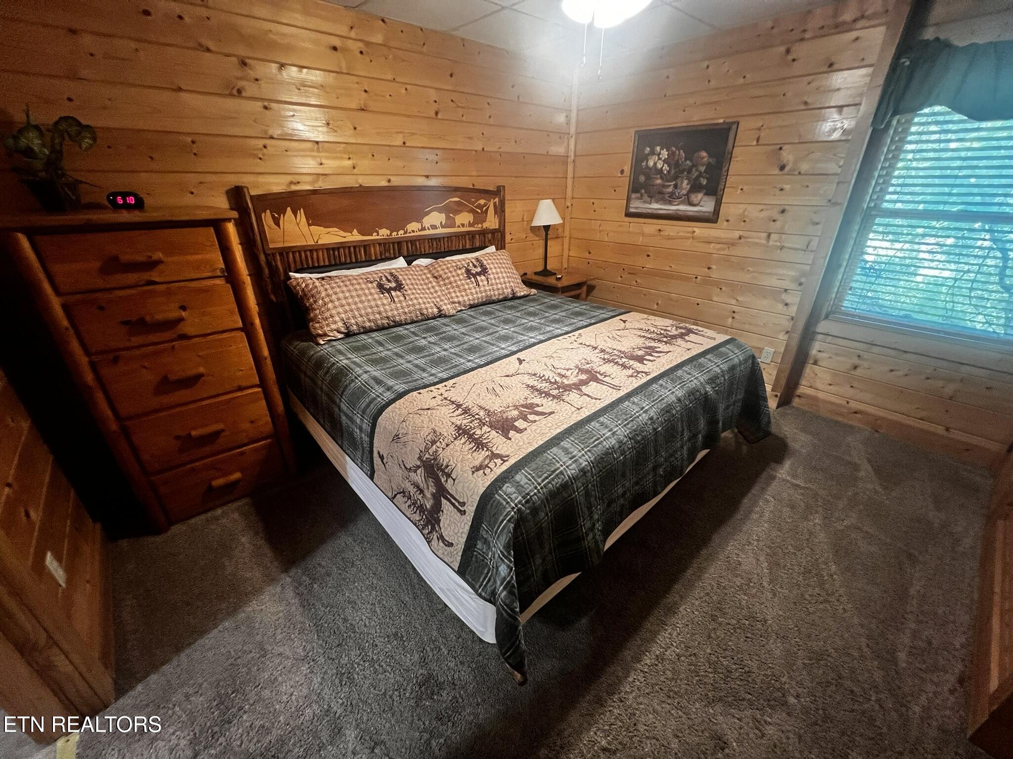 3216 White Falcon Way Pigeon Forge TN 37863