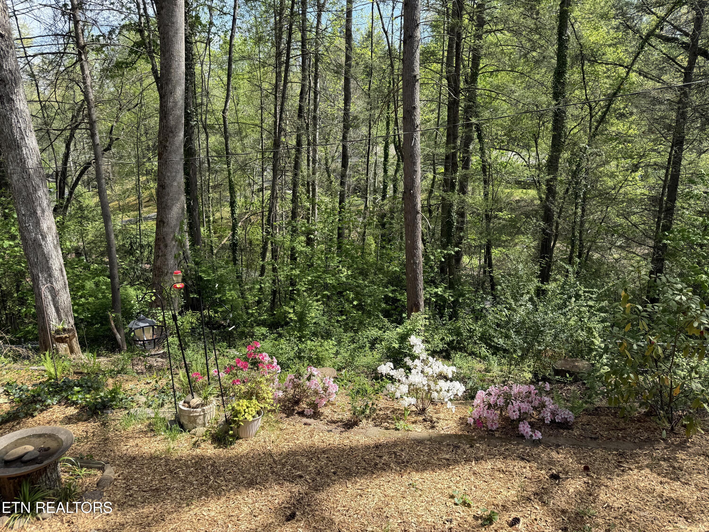 543 Reba Lane Gatlinburg TN 37738