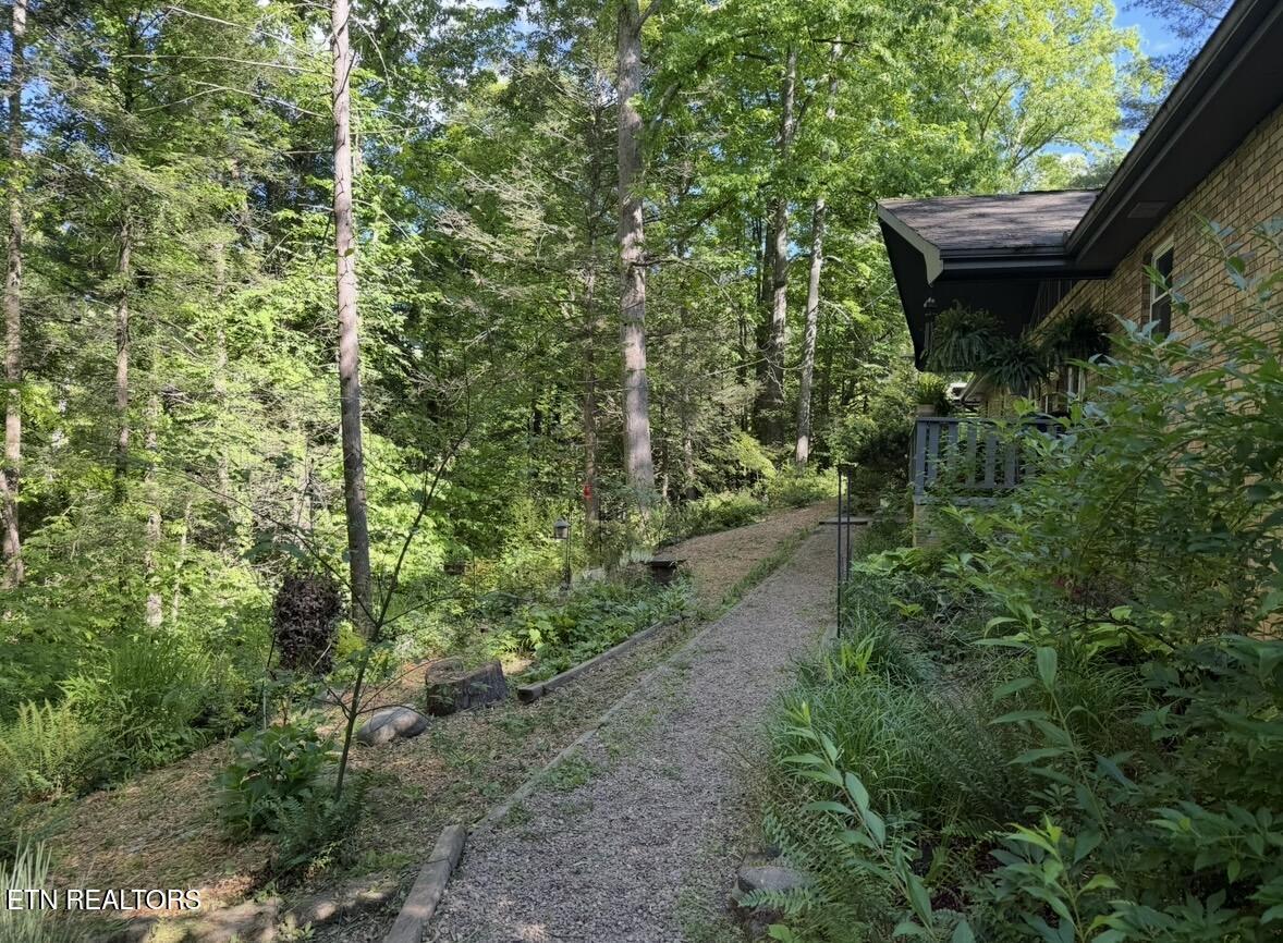 543 Reba Lane Gatlinburg TN 37738
