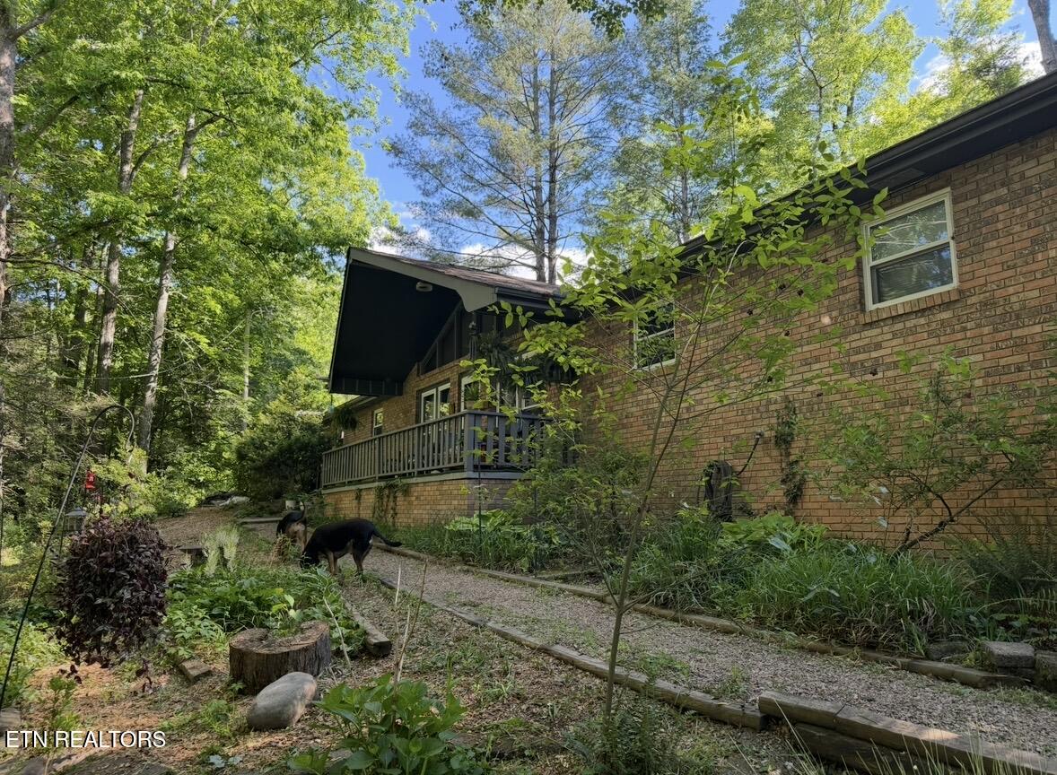 543 Reba Lane Gatlinburg TN 37738